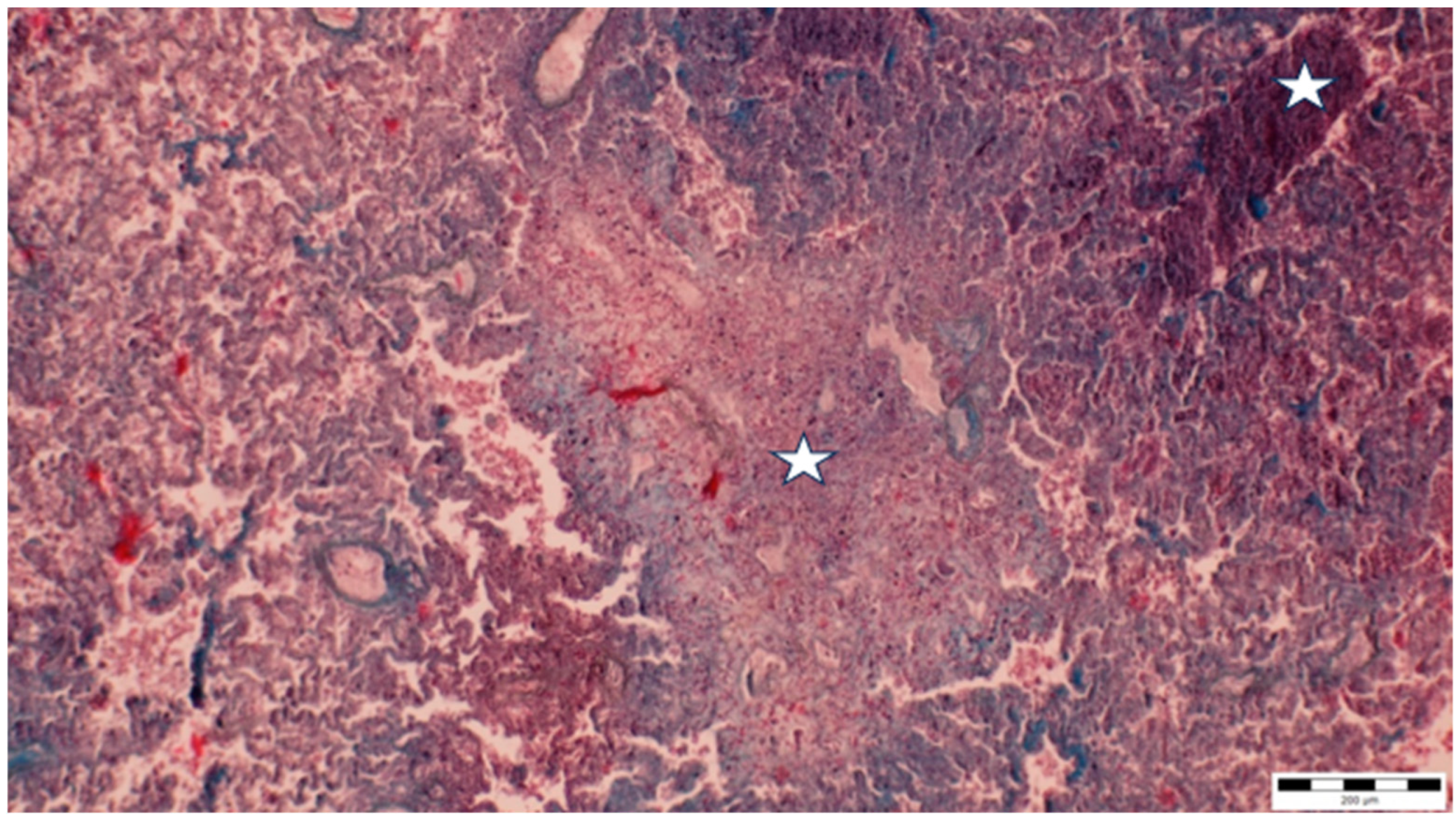 Microorganisms 13 00769 g003