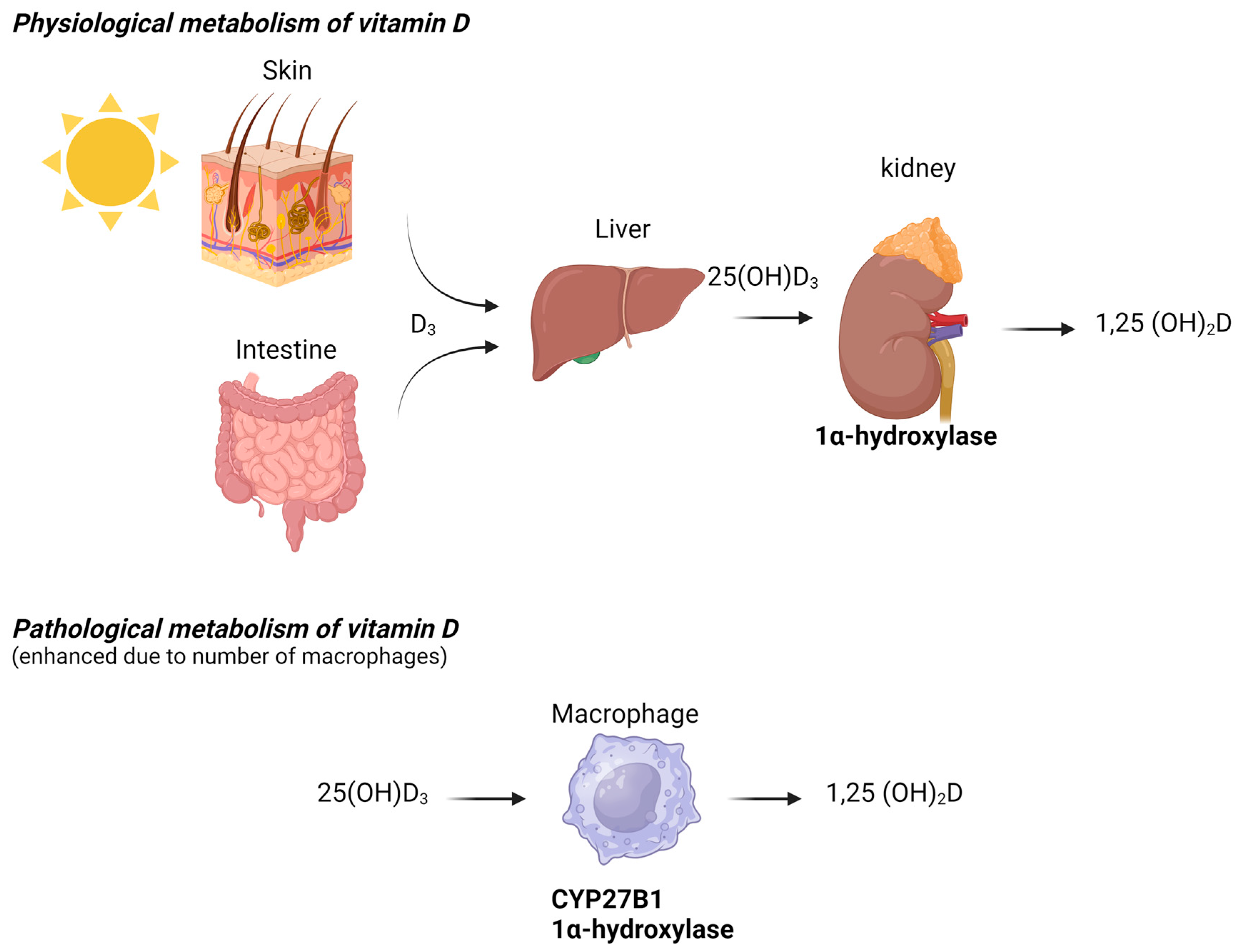 Microorganisms 13 00773 g002 Microorganisms 13 00773 g002
