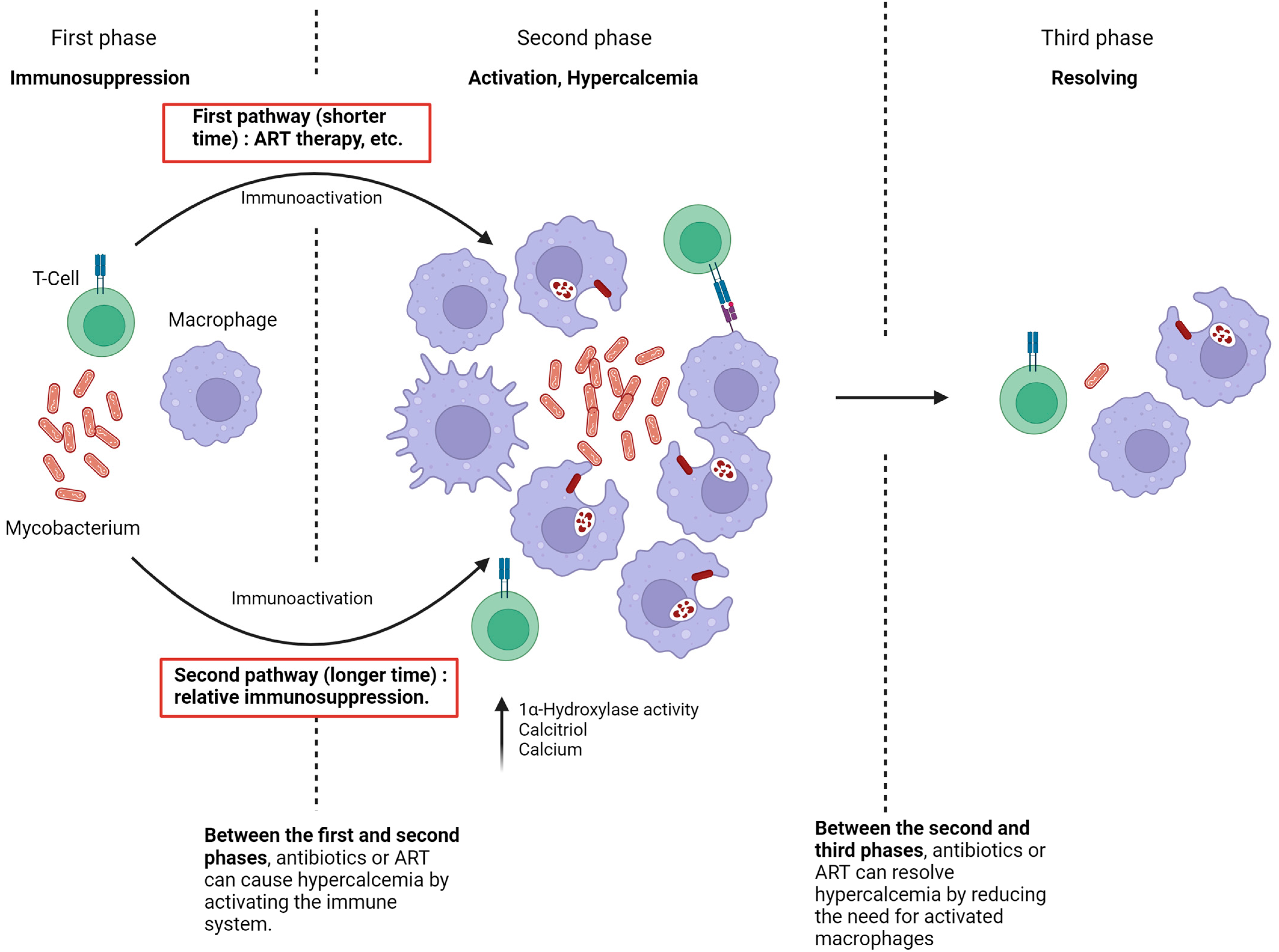 Microorganisms 13 00773 g003 Microorganisms 13 00773 g003