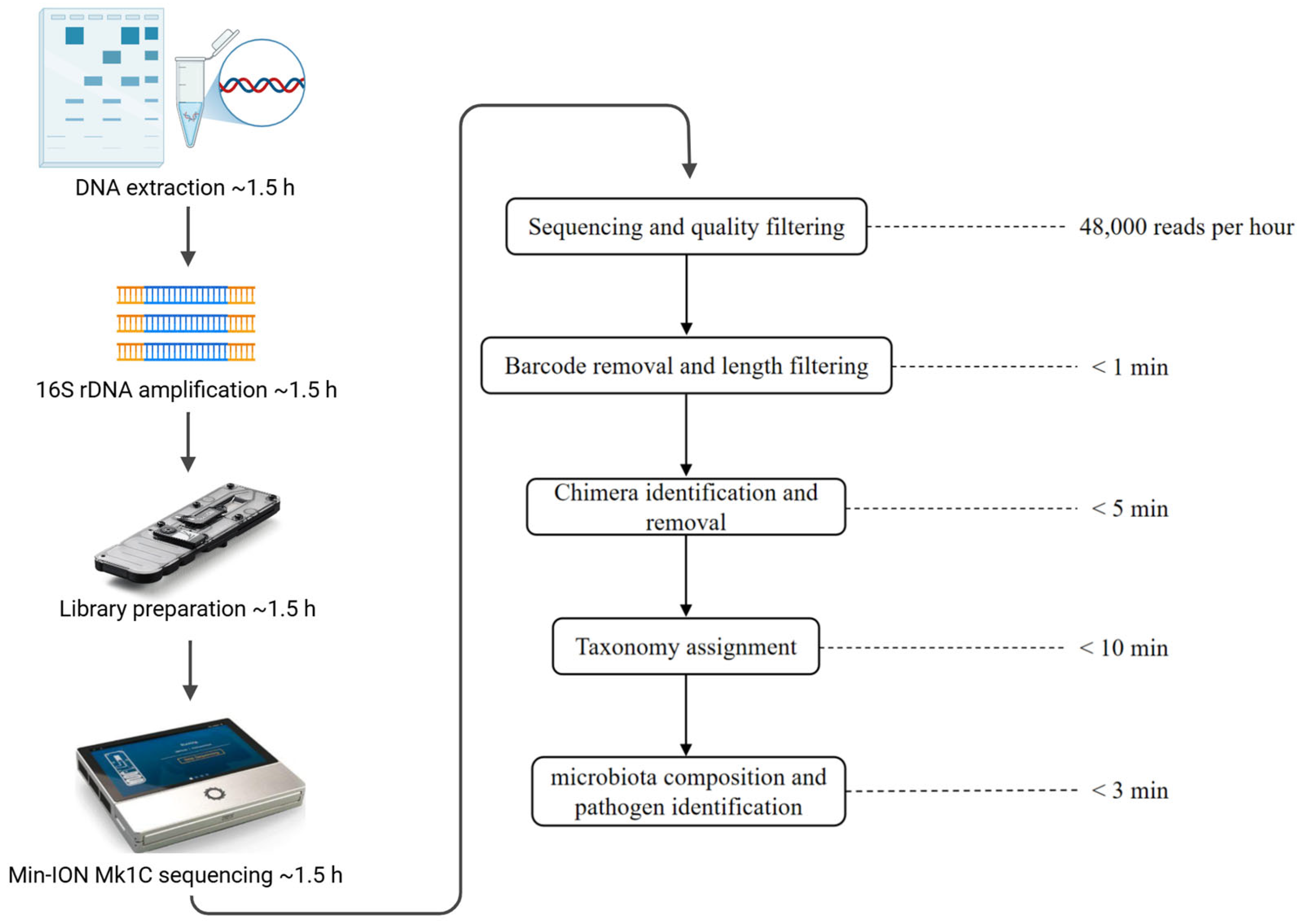 Microorganisms 13 00777 g001