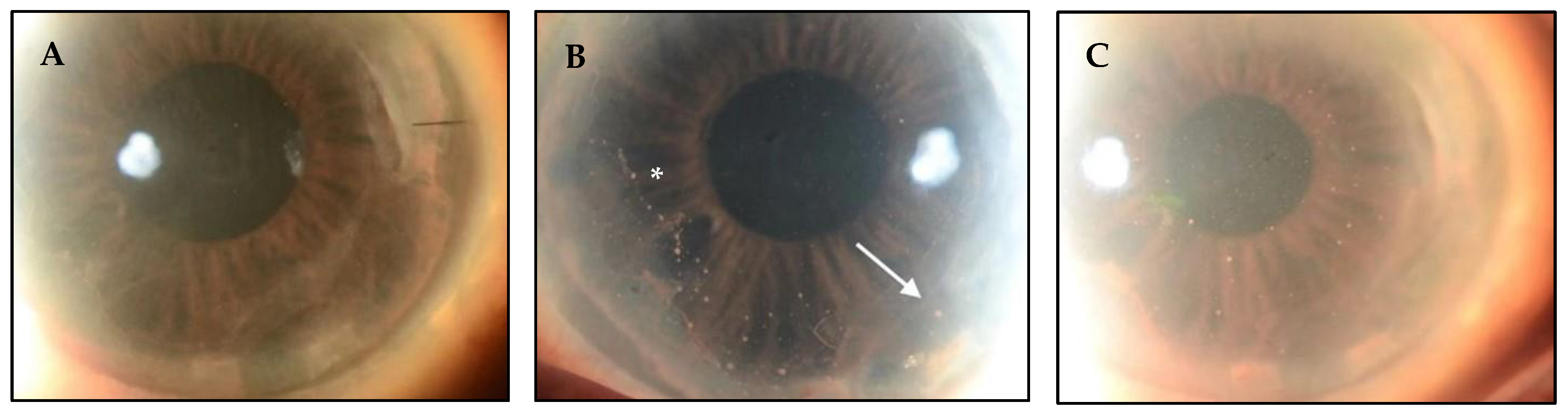 Microorganisms 13 00778 g001