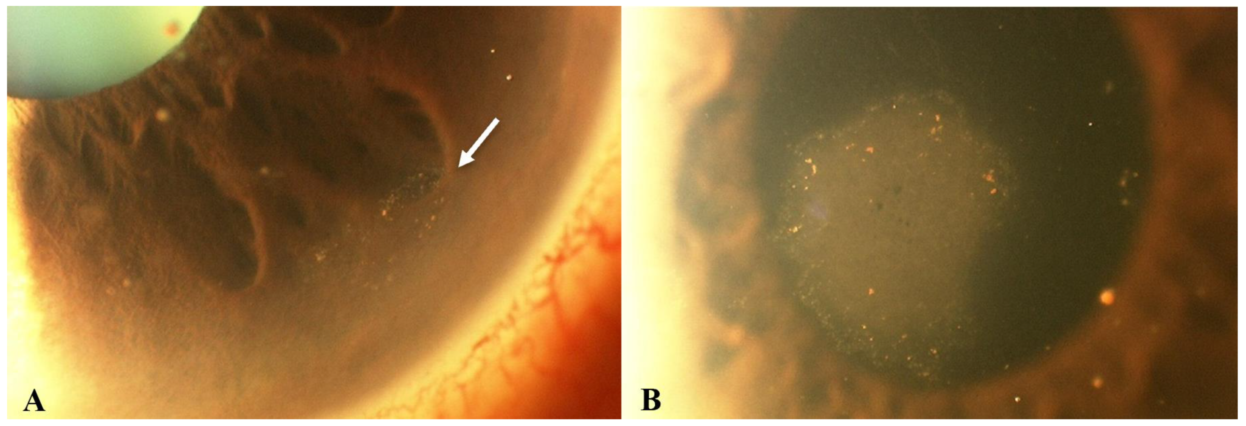 Microorganisms 13 00778 g002