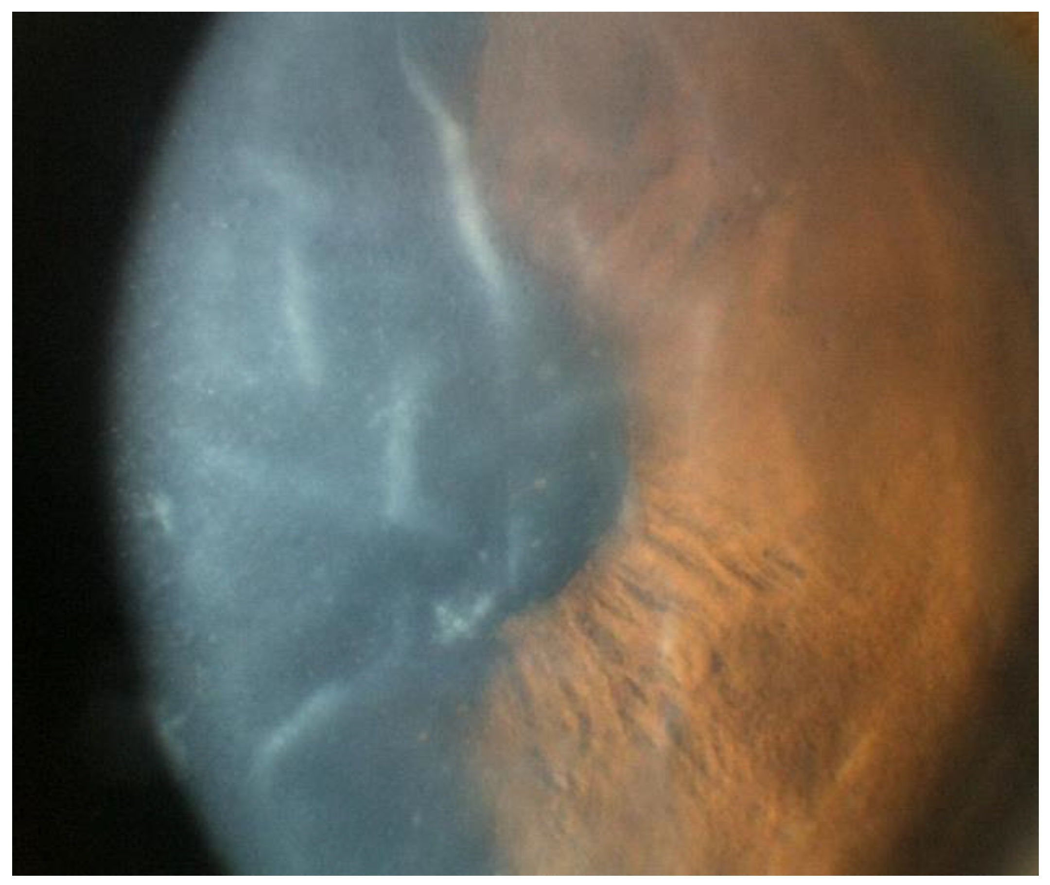 Microorganisms 13 00778 g003