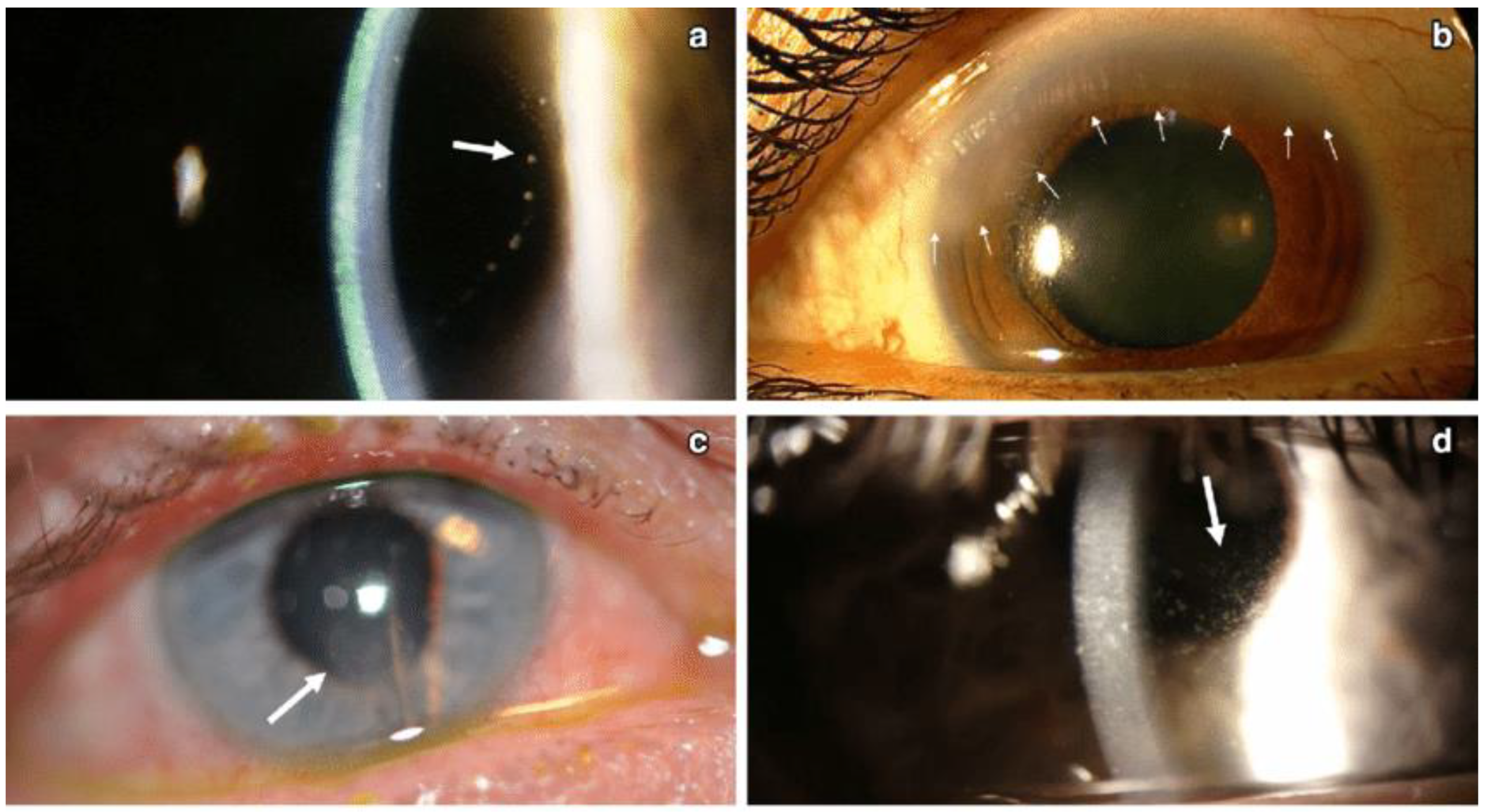 Microorganisms 13 00778 g007