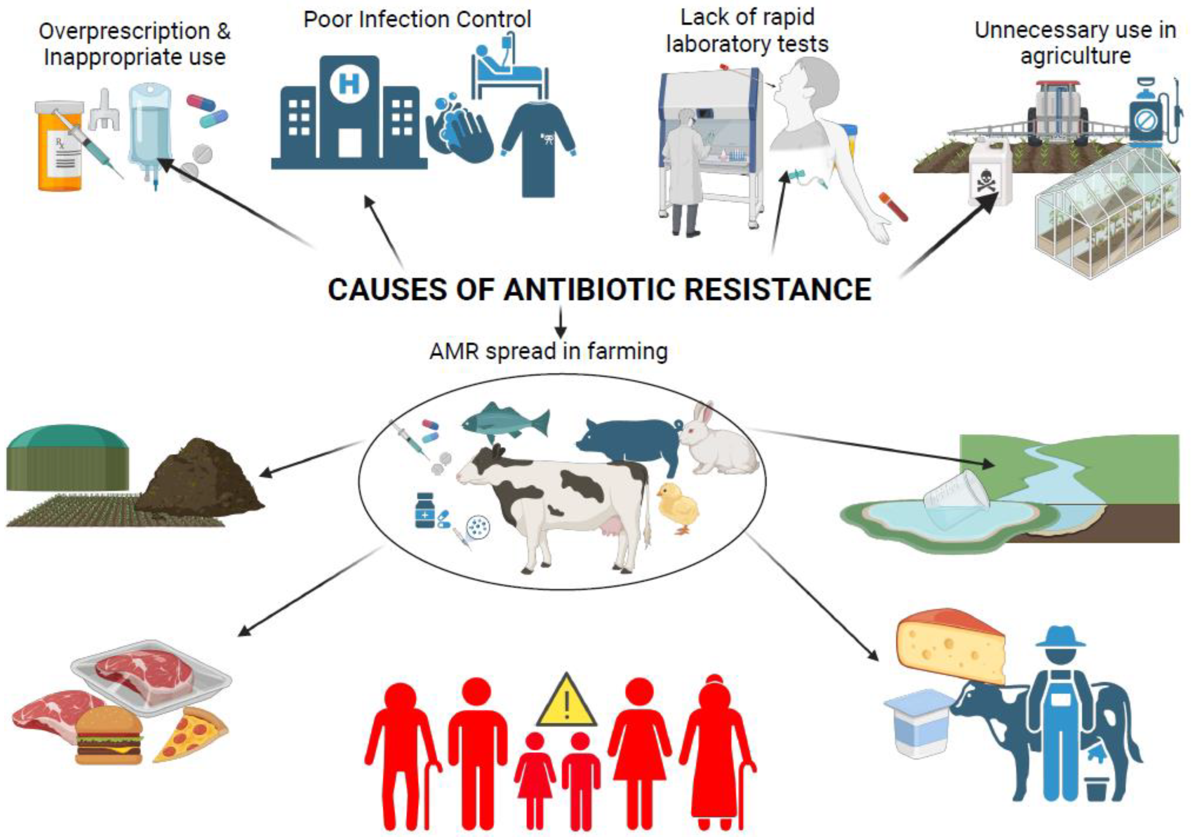 Microorganisms 13 00779 g002
