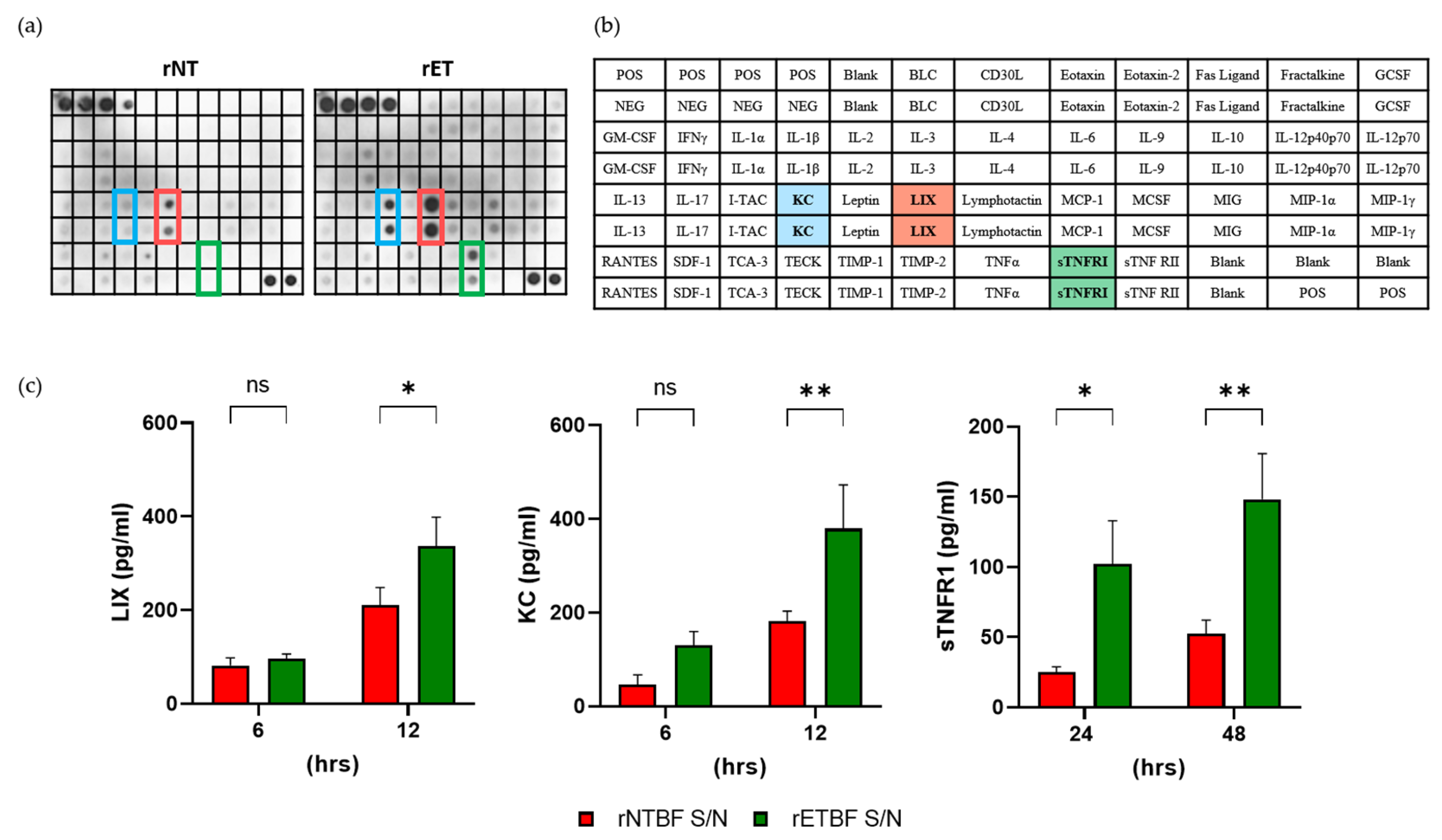 Microorganisms 13 00781 g006
