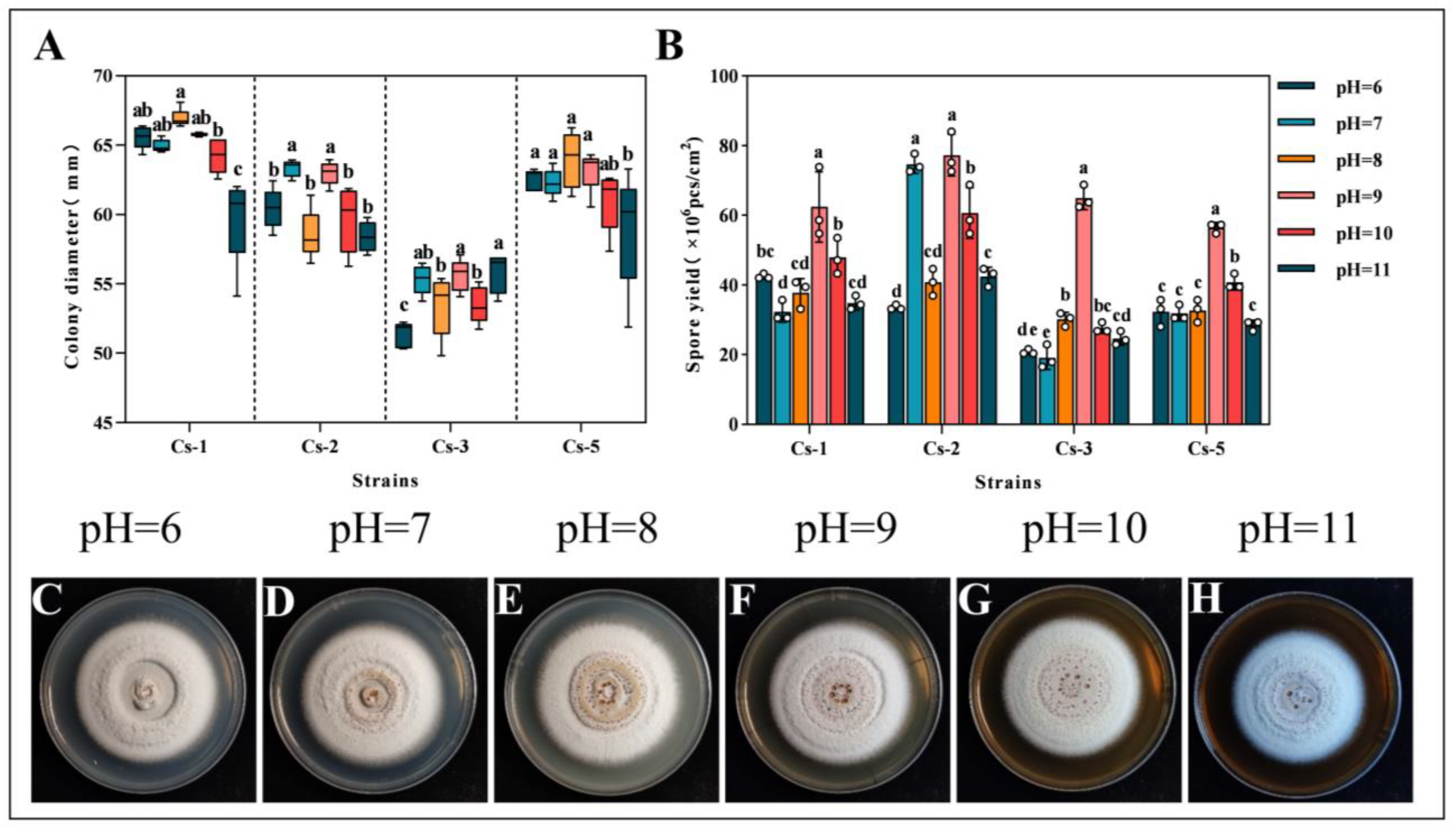 Microorganisms 13 00782 g007