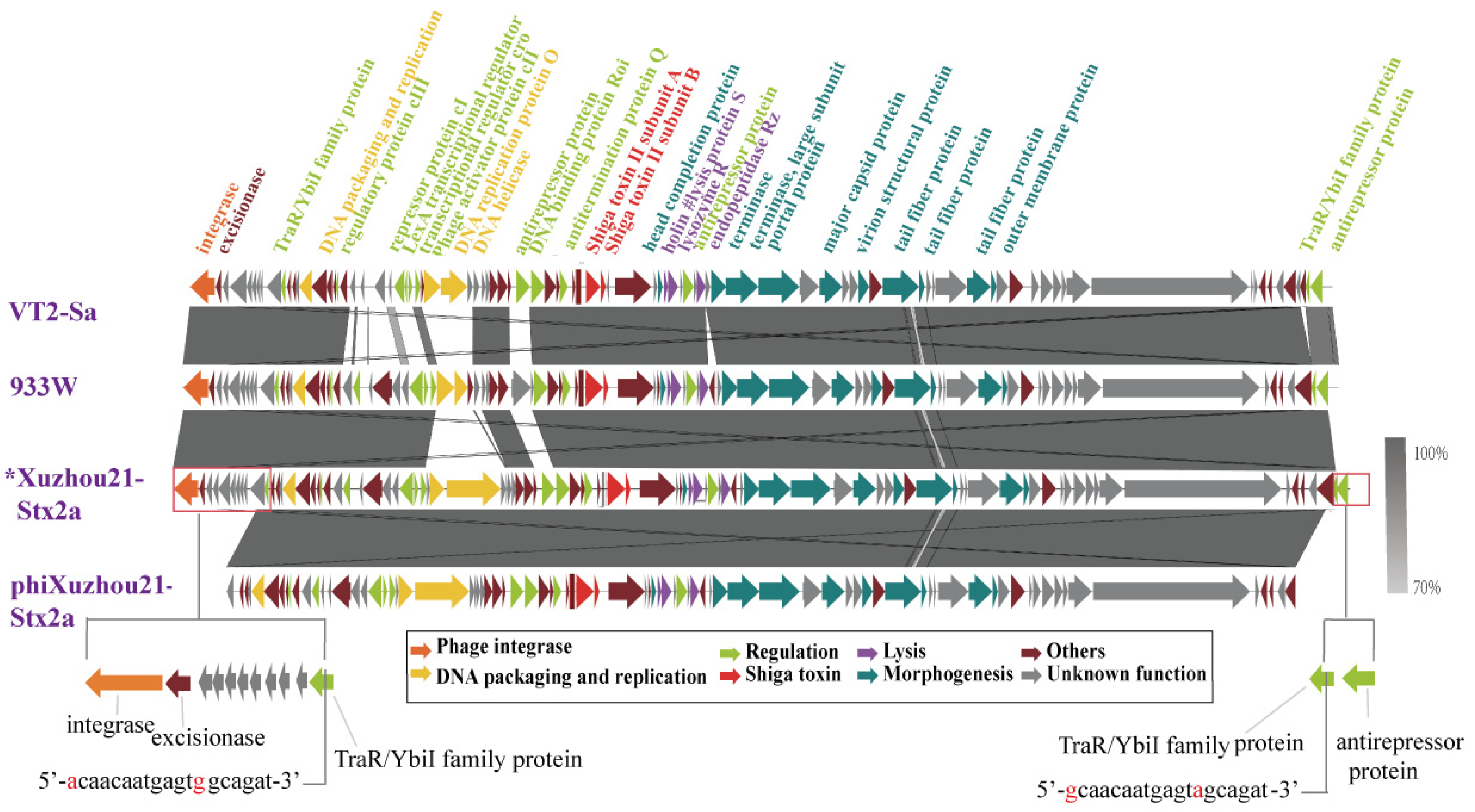 Microorganisms 13 00783 g002