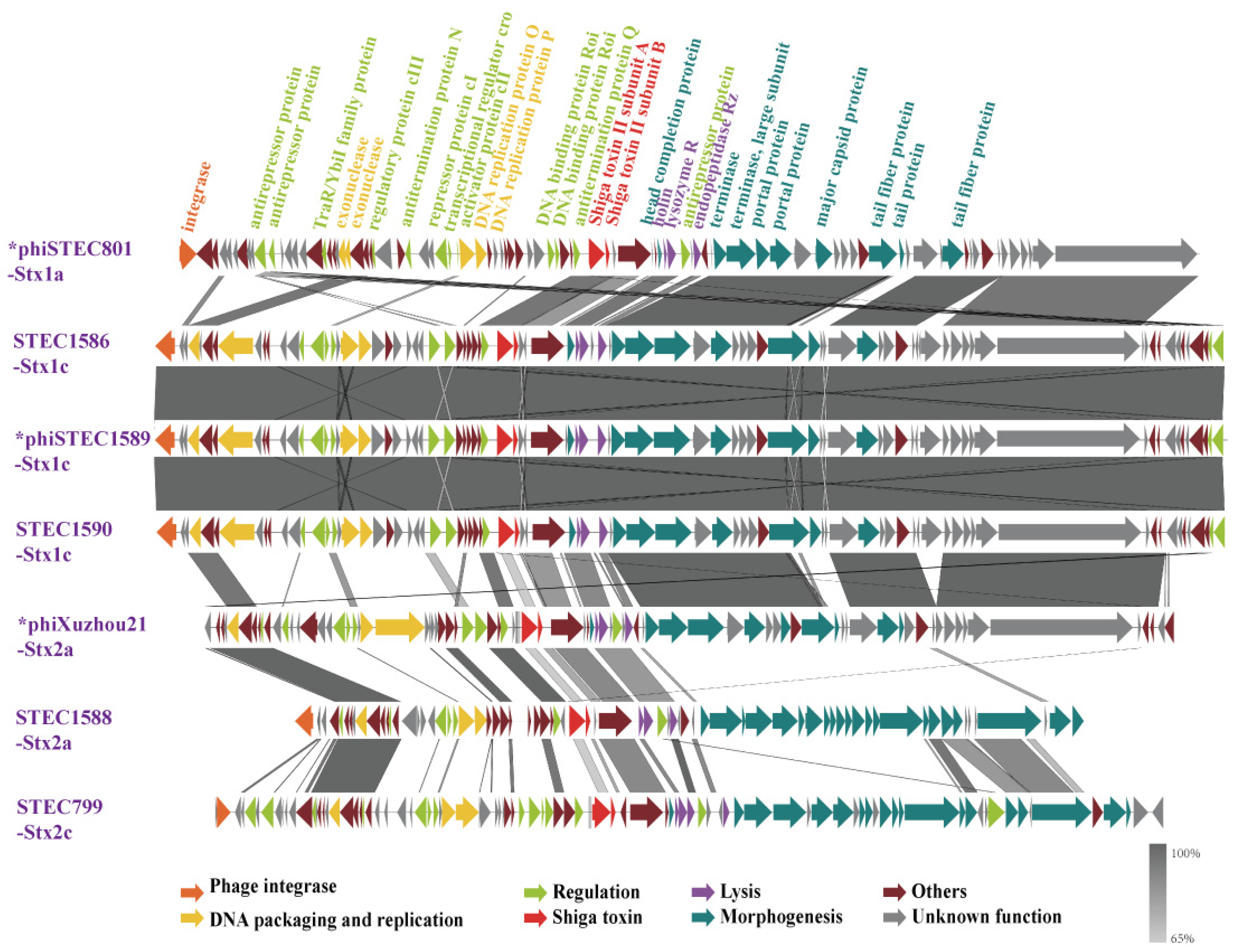 Microorganisms 13 00783 g003