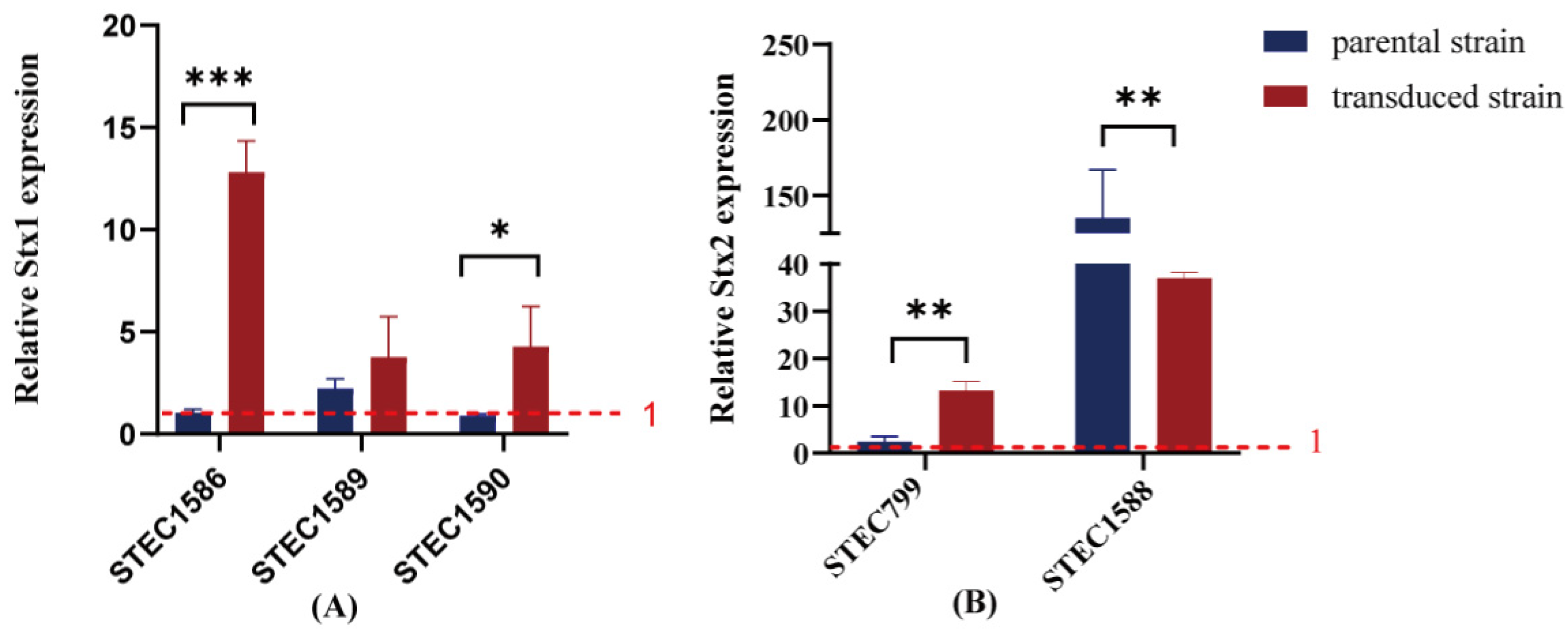 Microorganisms 13 00783 g004