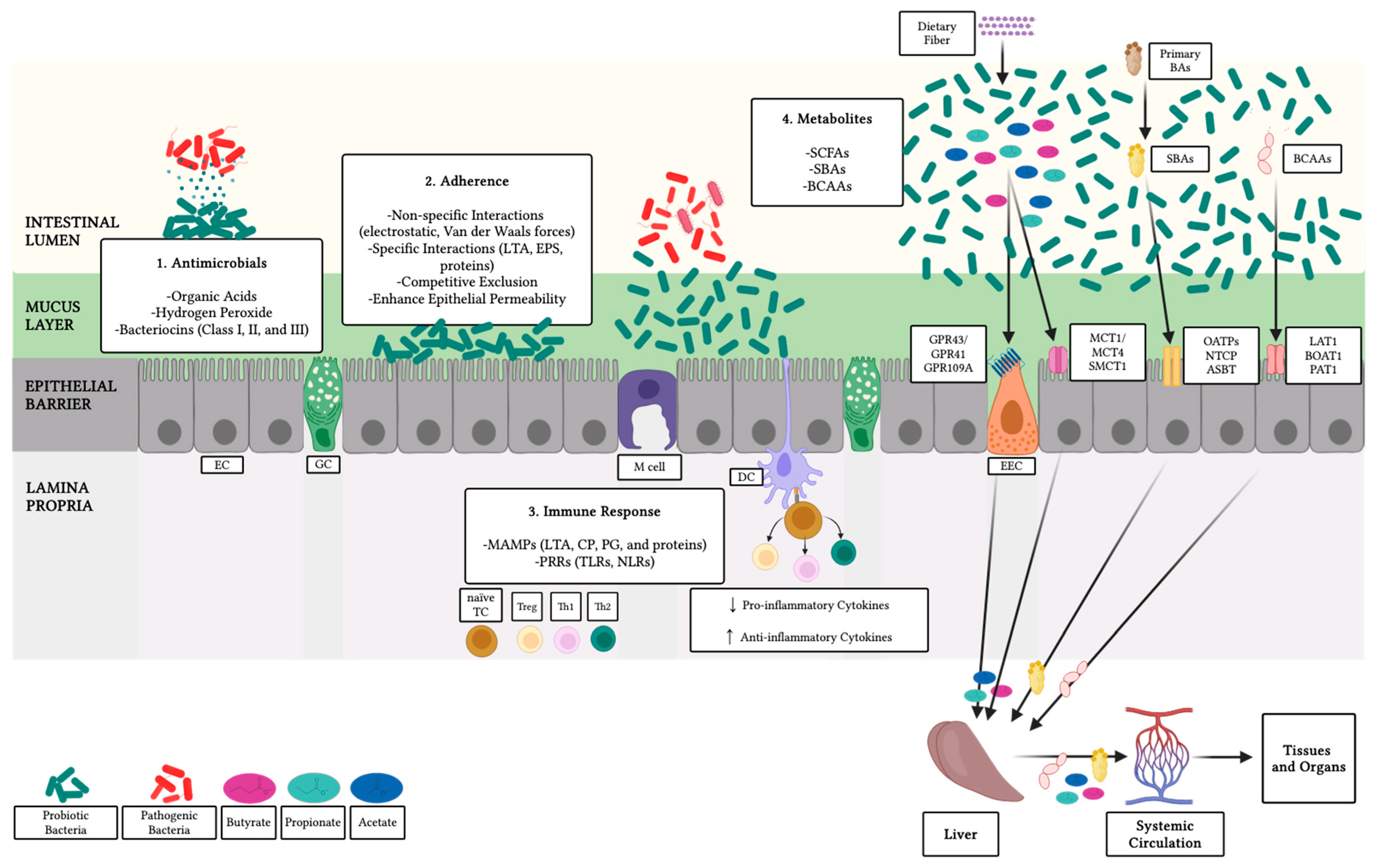 Microorganisms 13 00784 g002