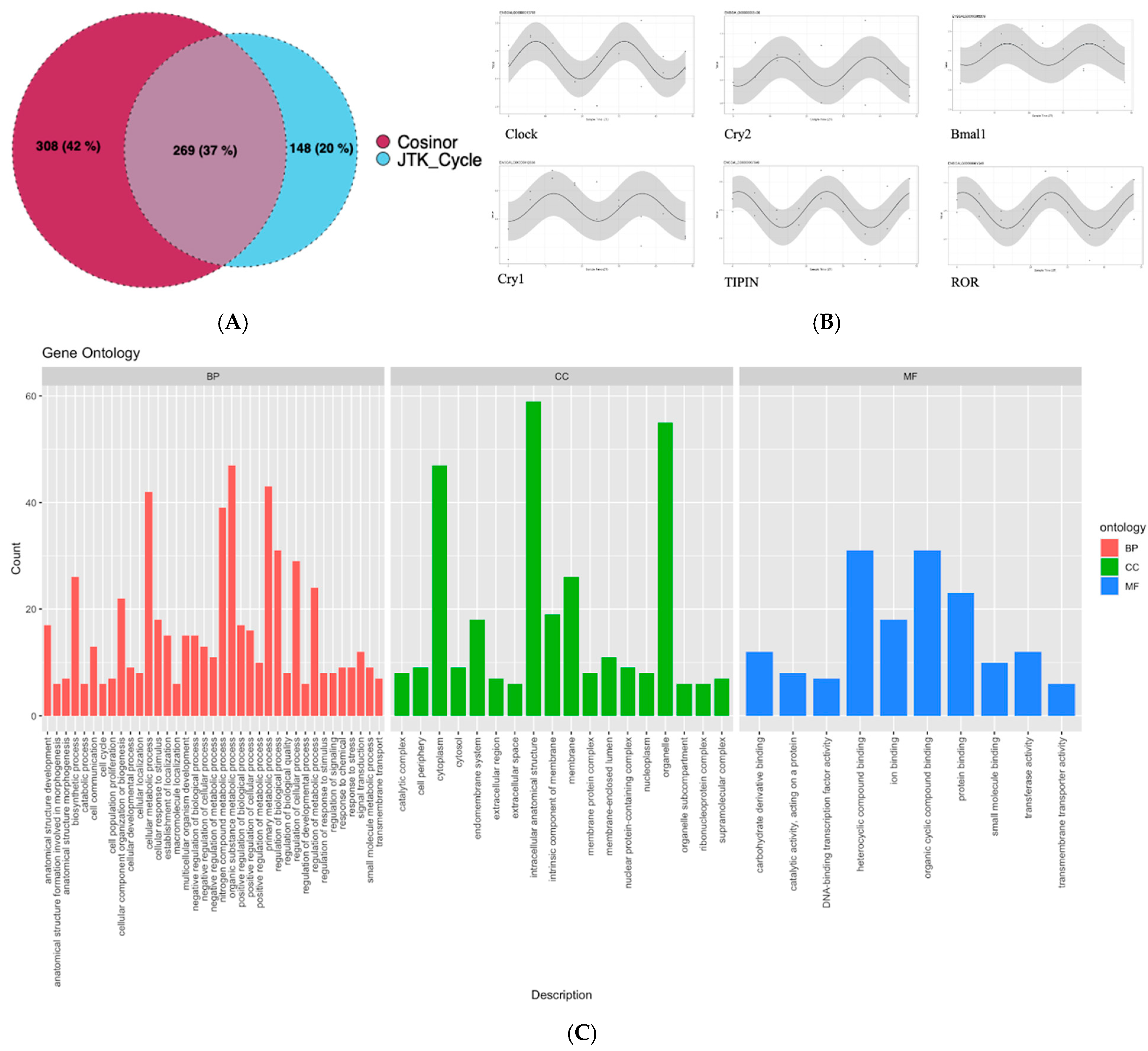 Microorganisms 13 00789 g004