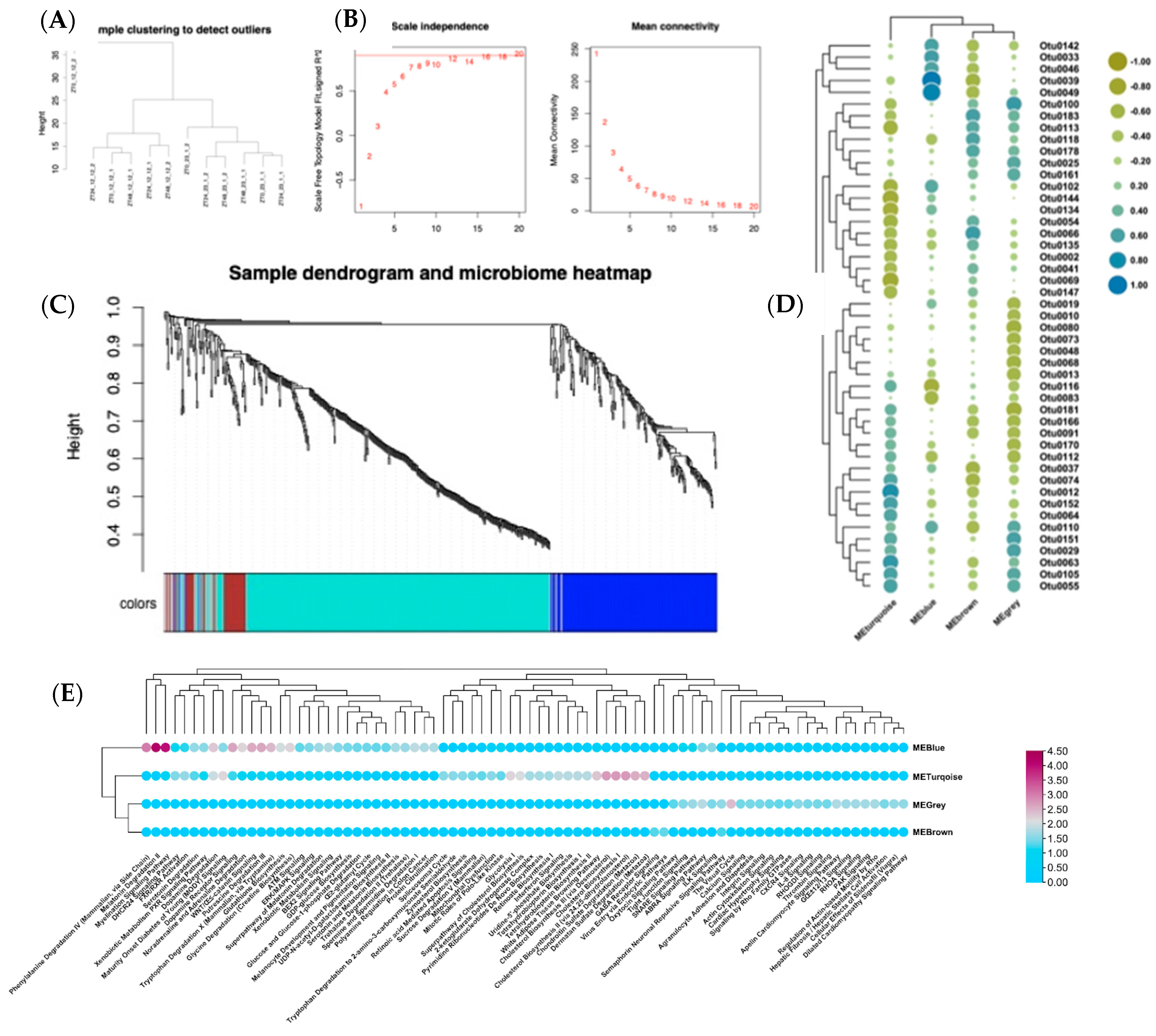 Microorganisms 13 00789 g005