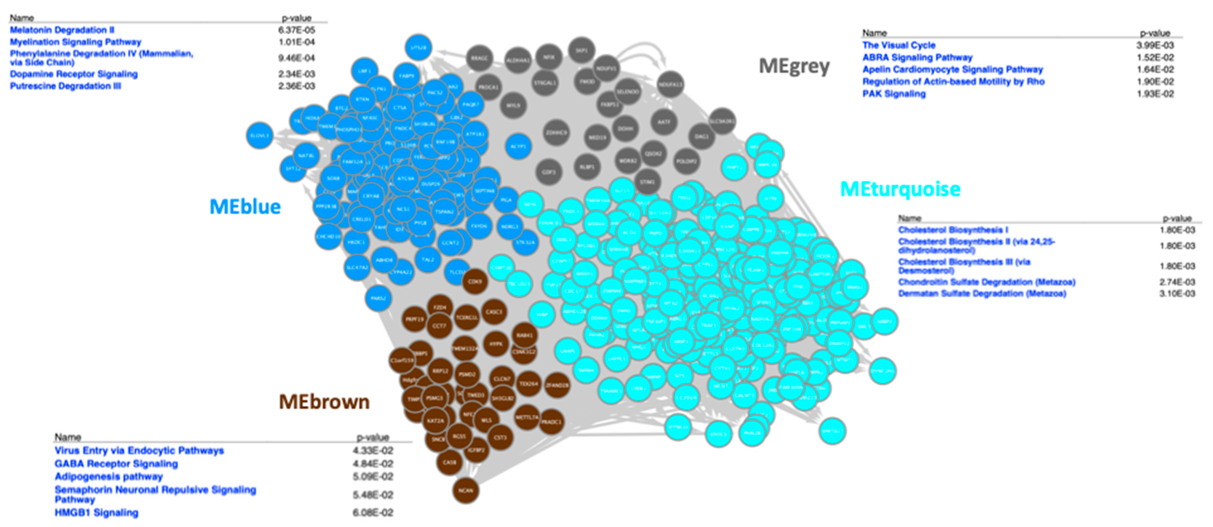 Microorganisms 13 00789 g006