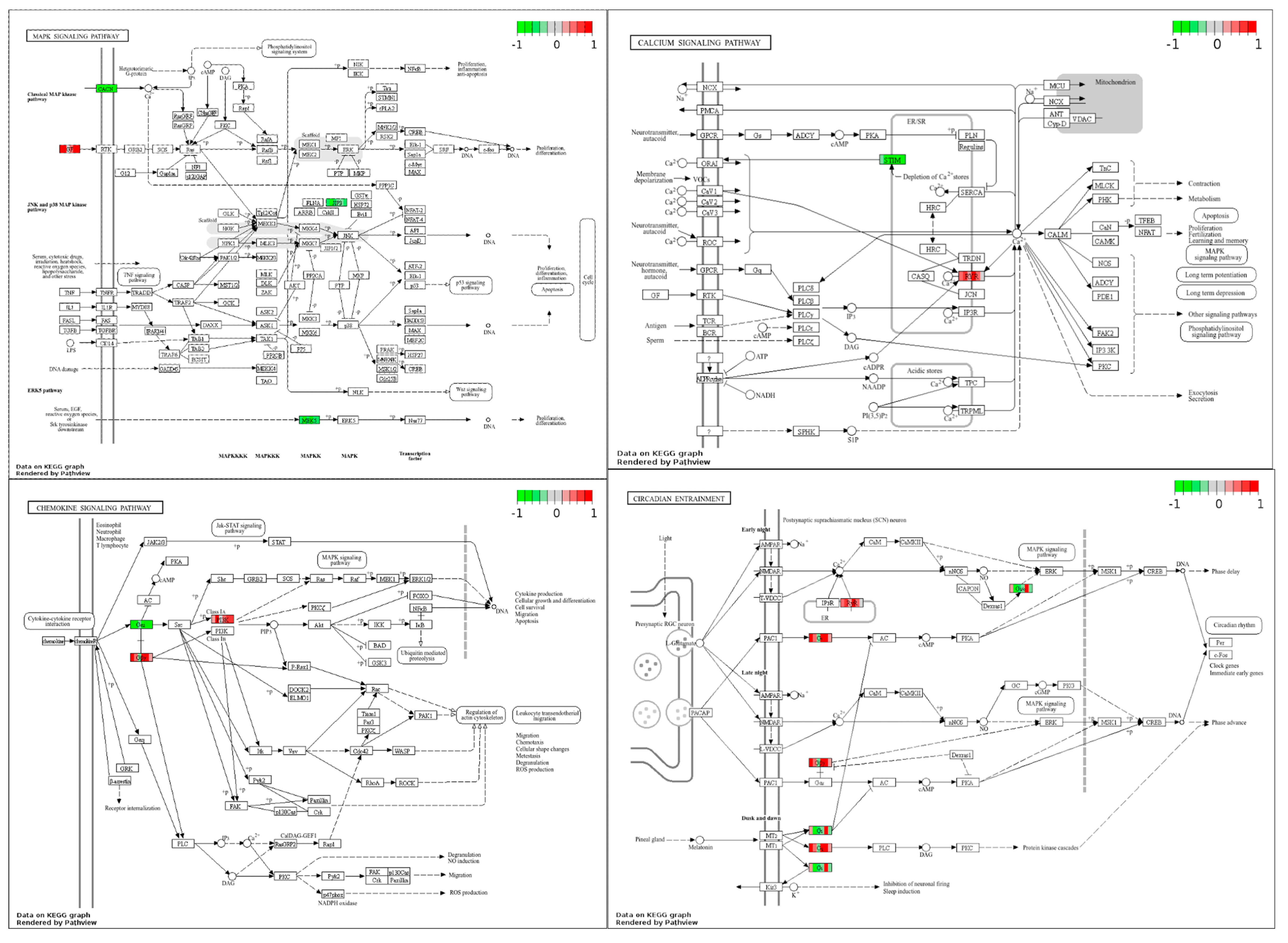 Microorganisms 13 00789 g007