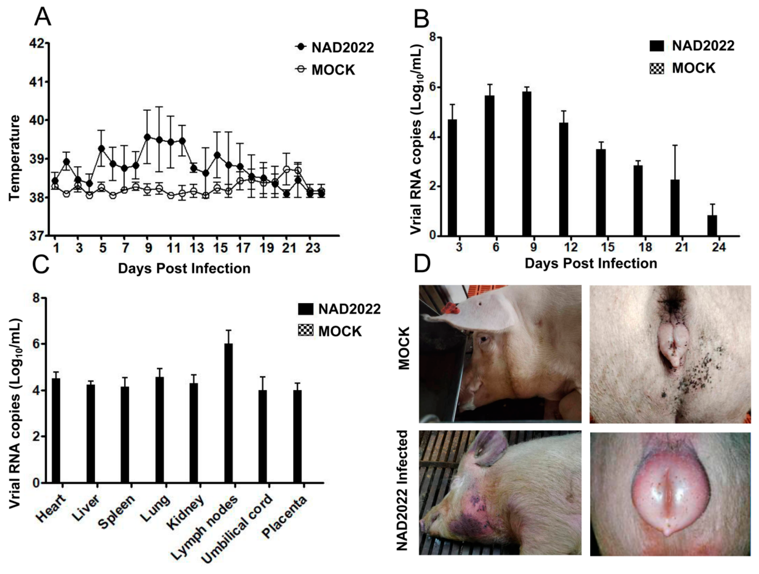 Microorganisms 13 00796 g005