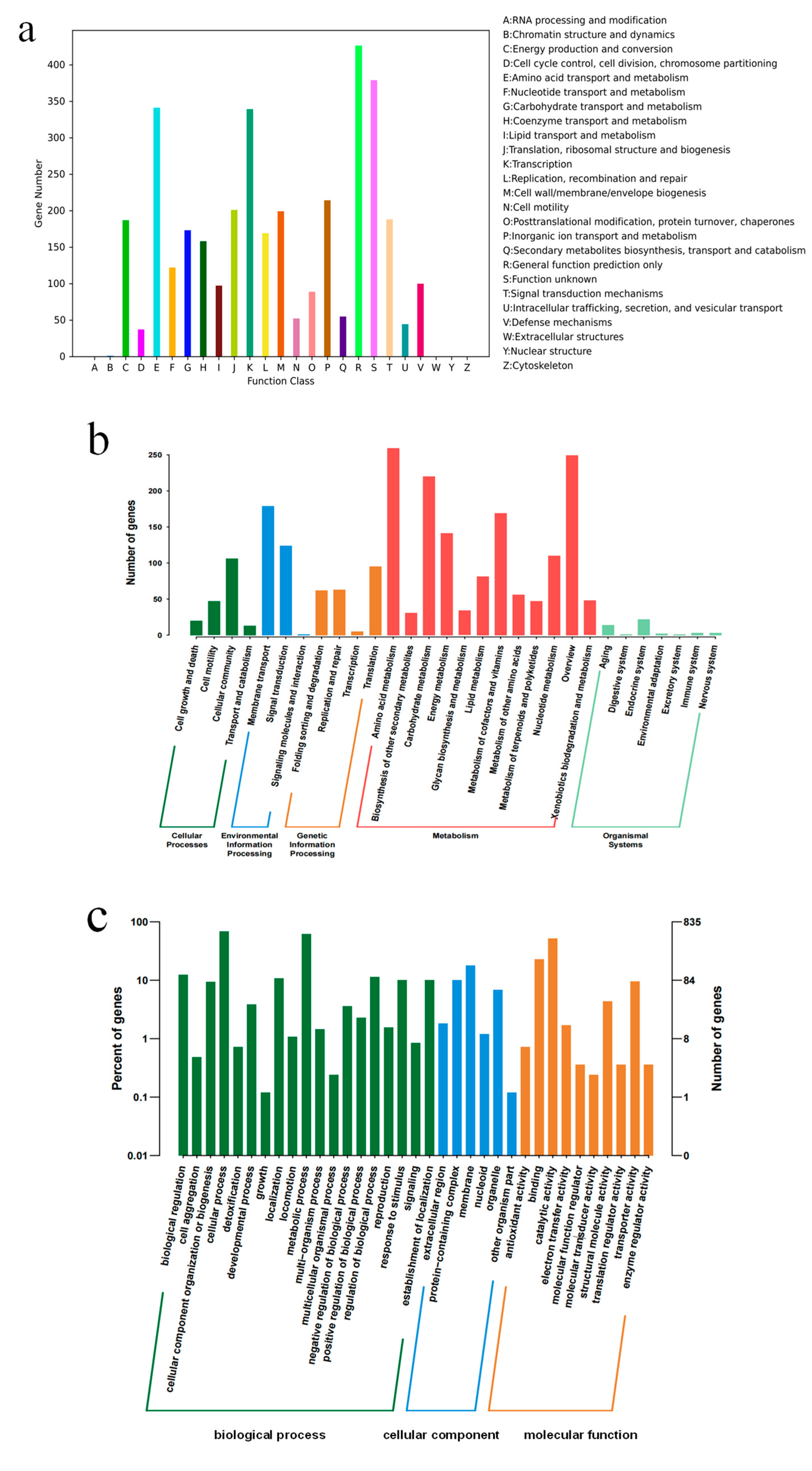 Microorganisms 13 00798 g004