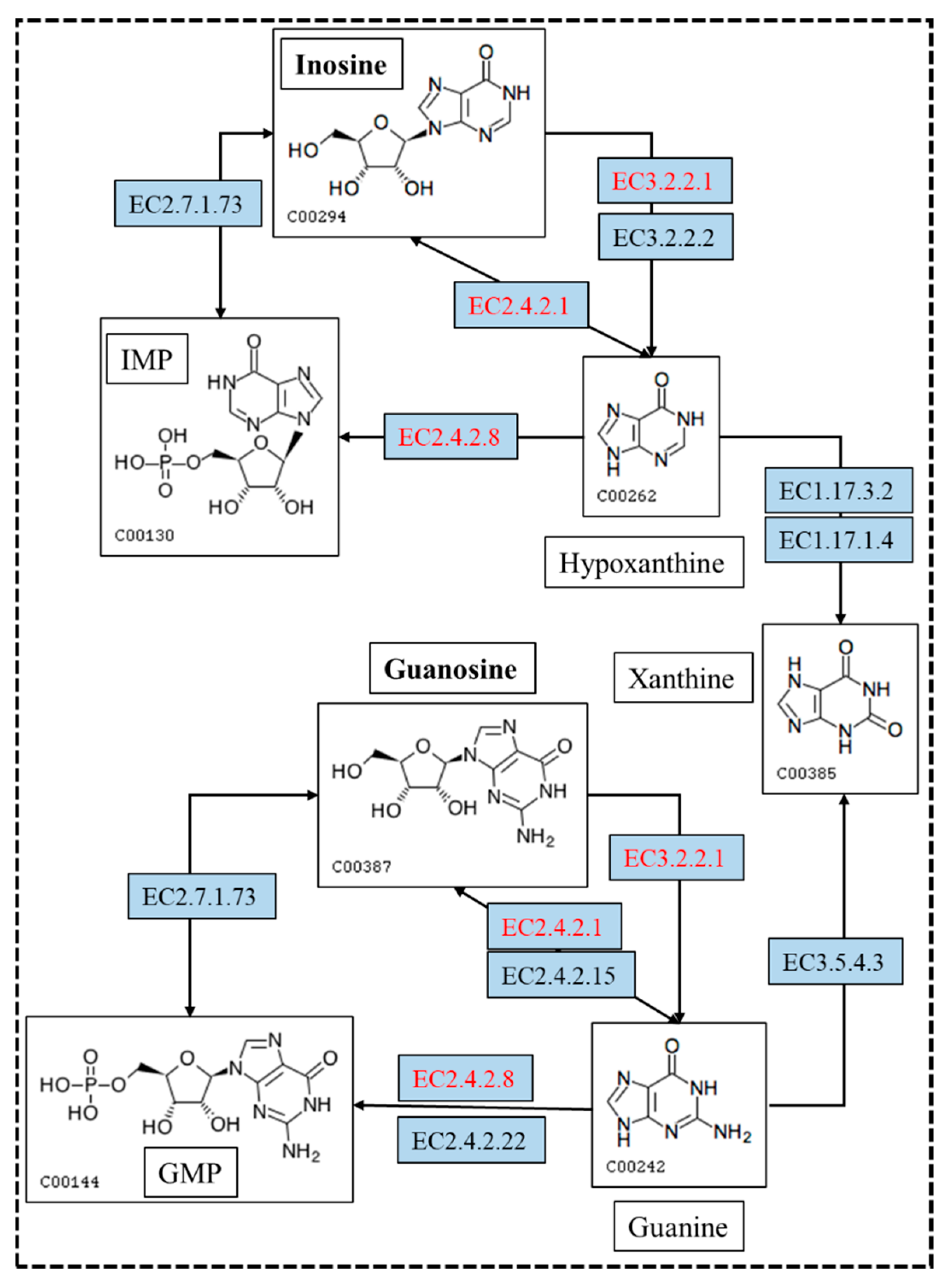 Microorganisms 13 00798 g007