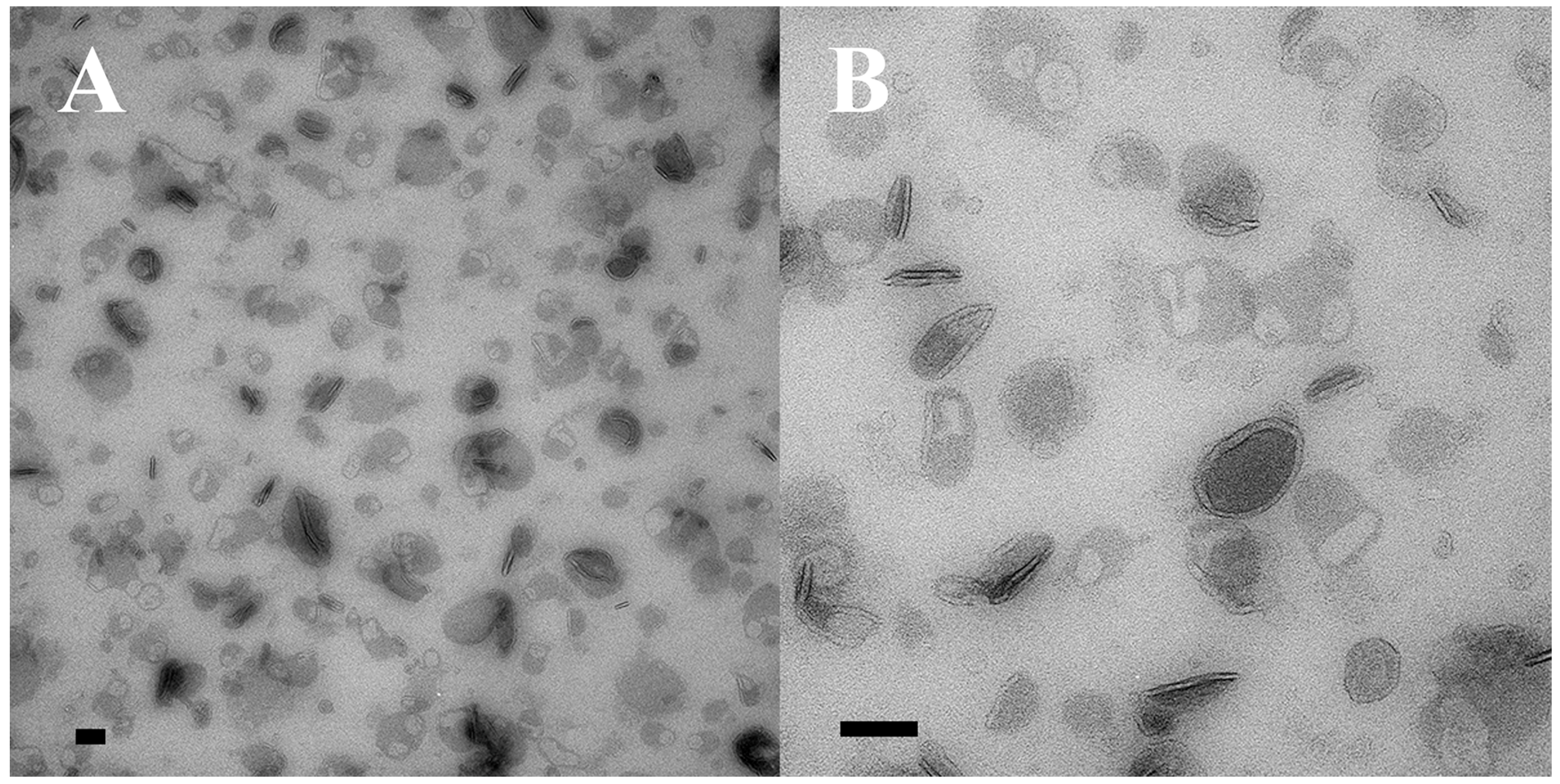 Microorganisms 13 00803 g005