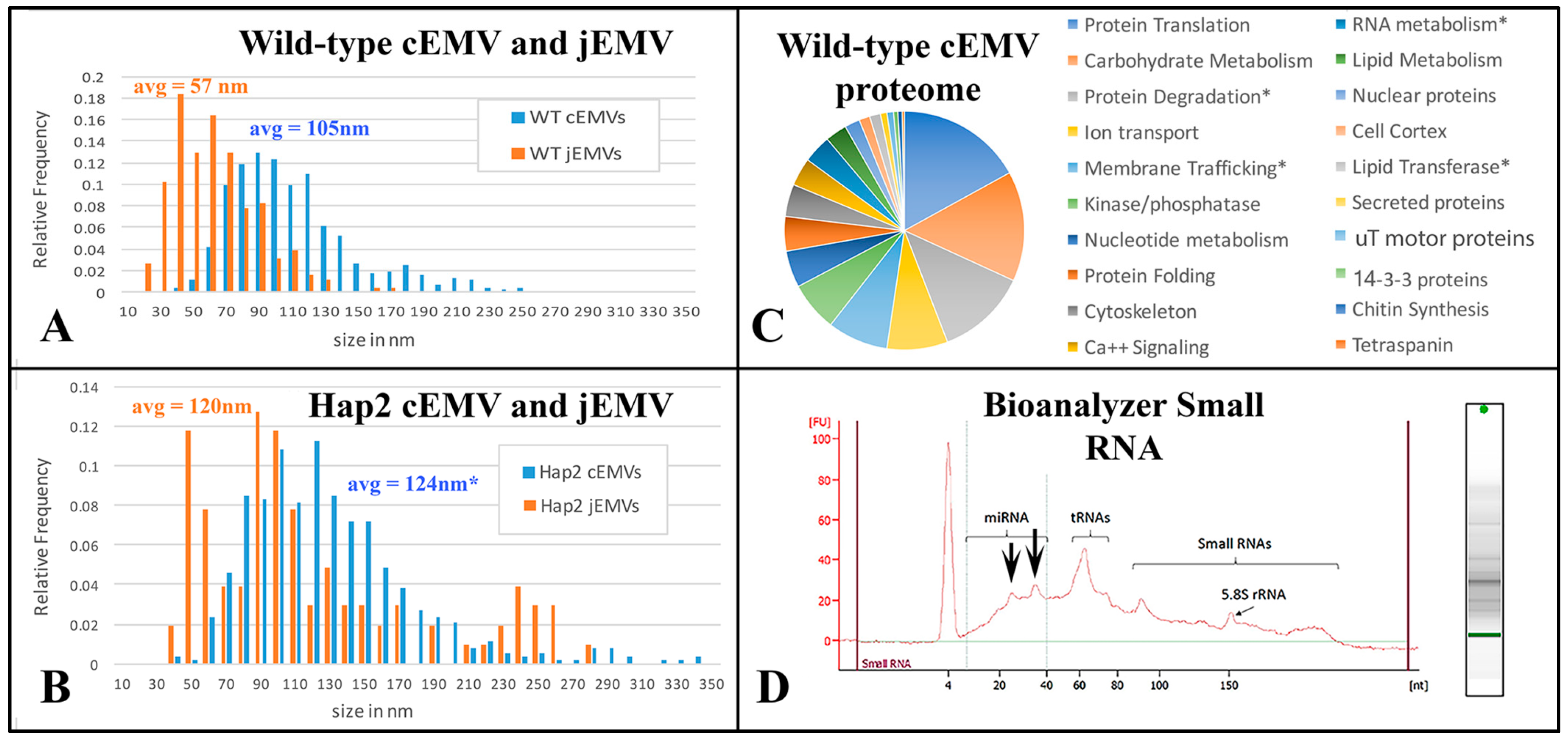 Microorganisms 13 00803 g006