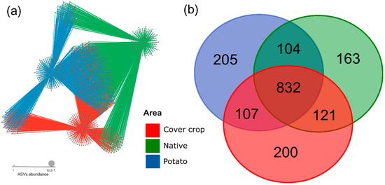 Microorganisms 13 00804 g0a6