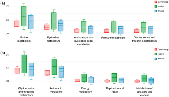 Microorganisms 13 00804 g0a8