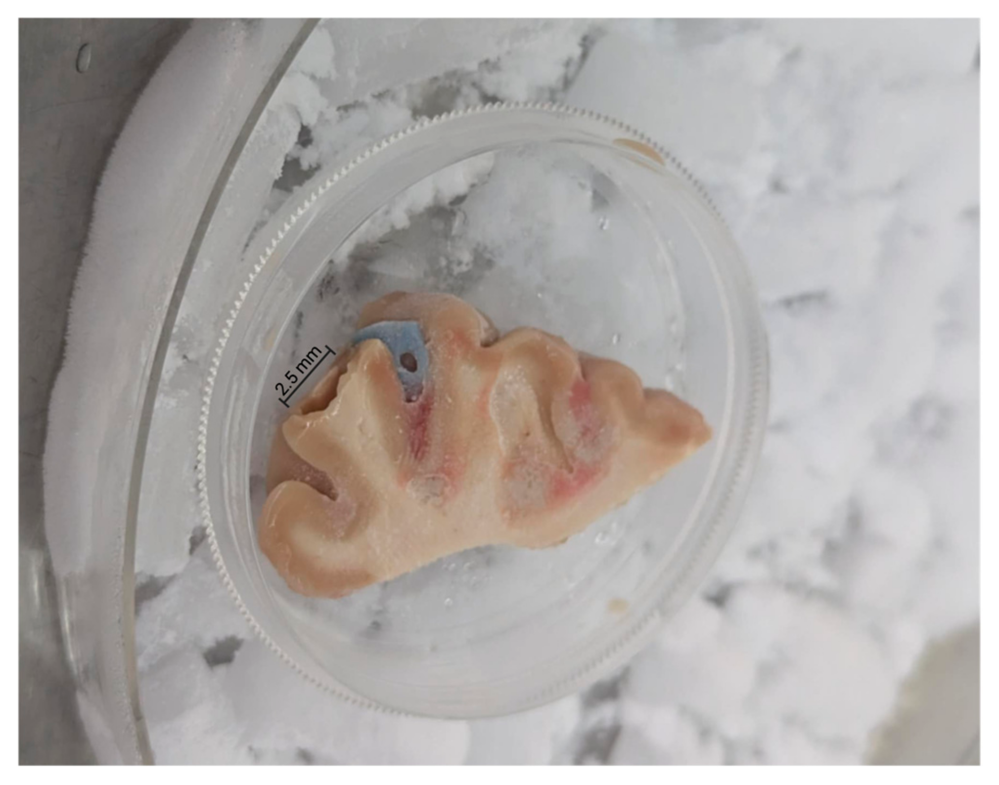 Microorganisms 13 00807 g002