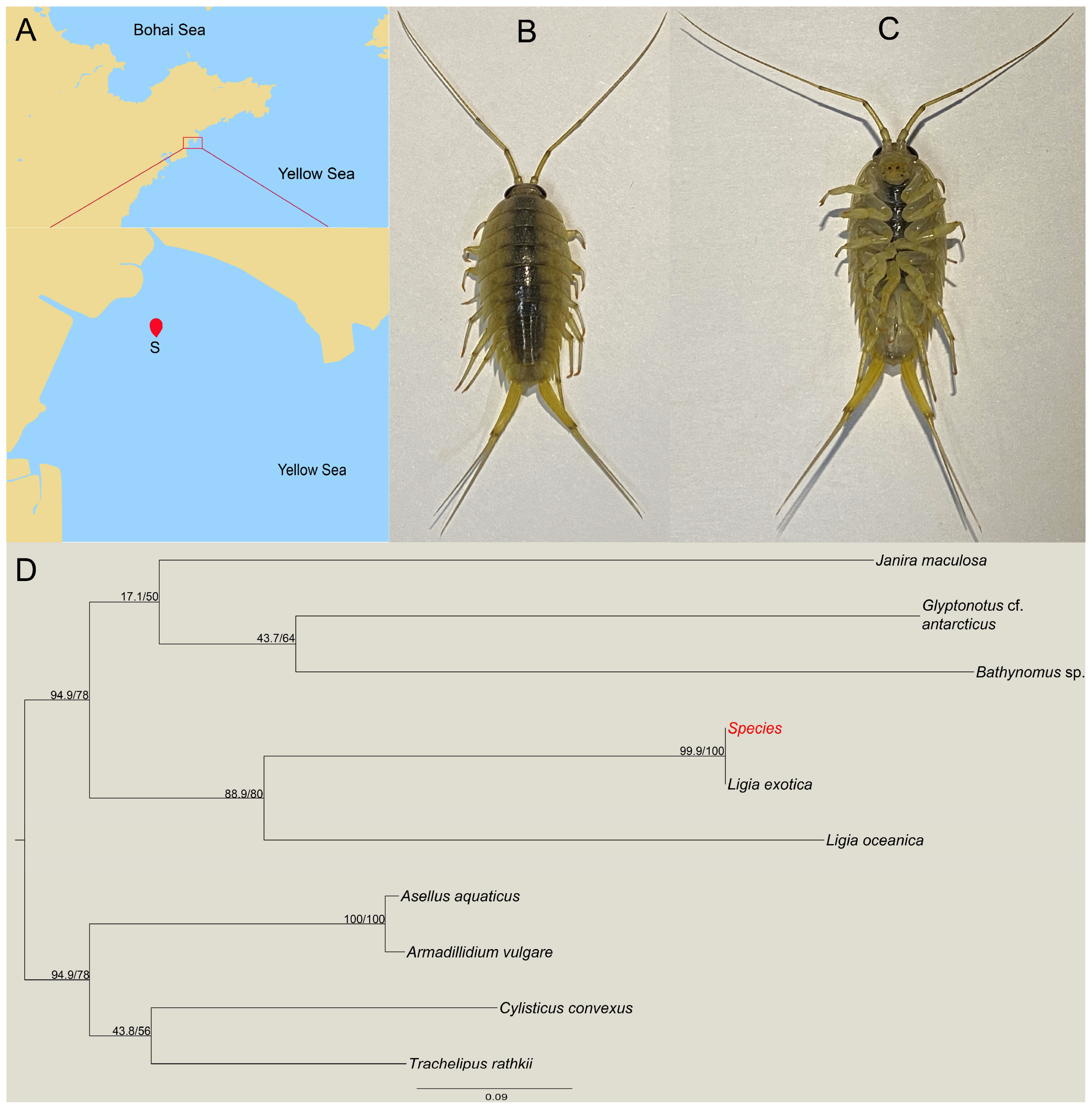 Microorganisms 13 00808 g001