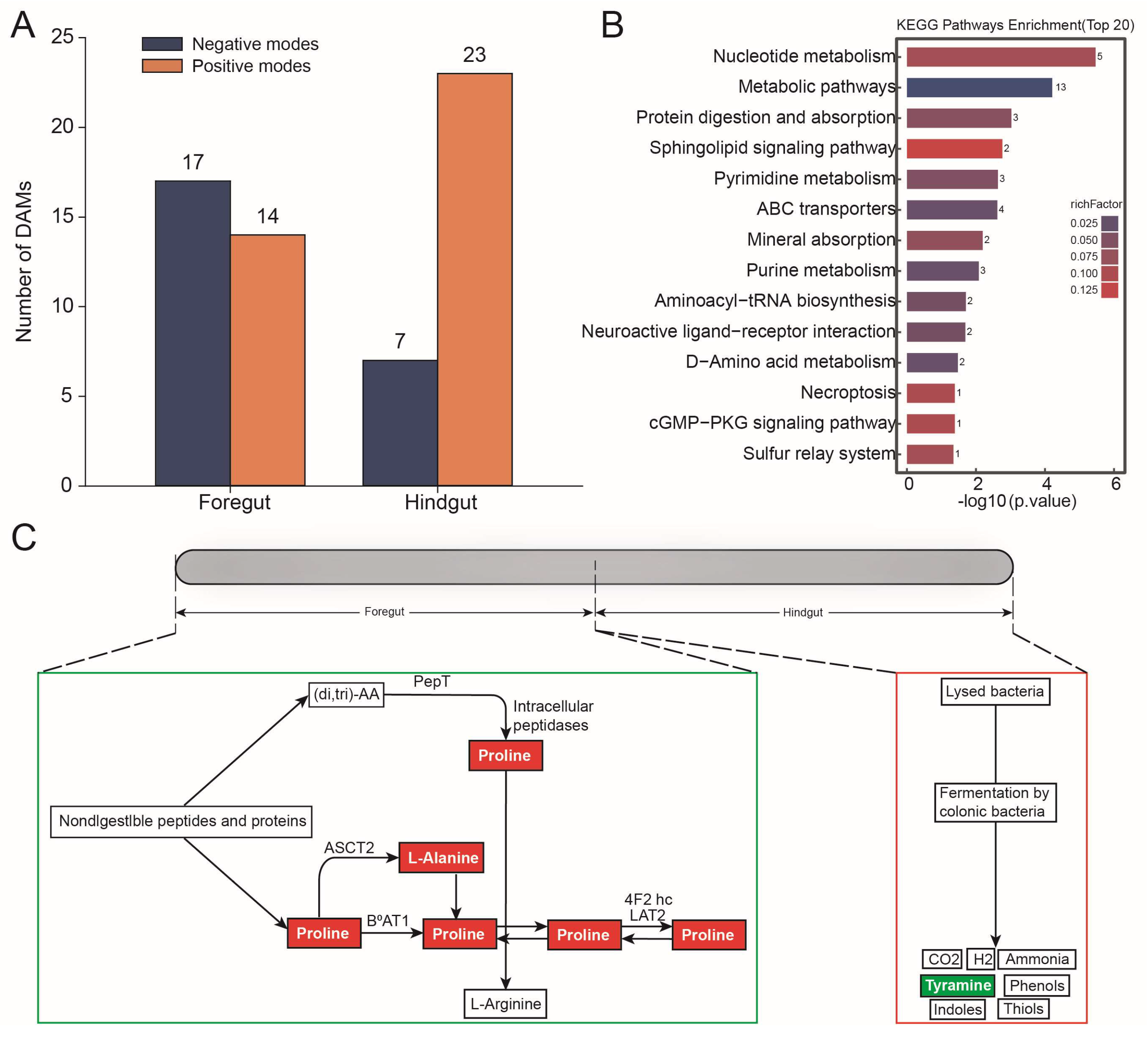 Microorganisms 13 00808 g005
