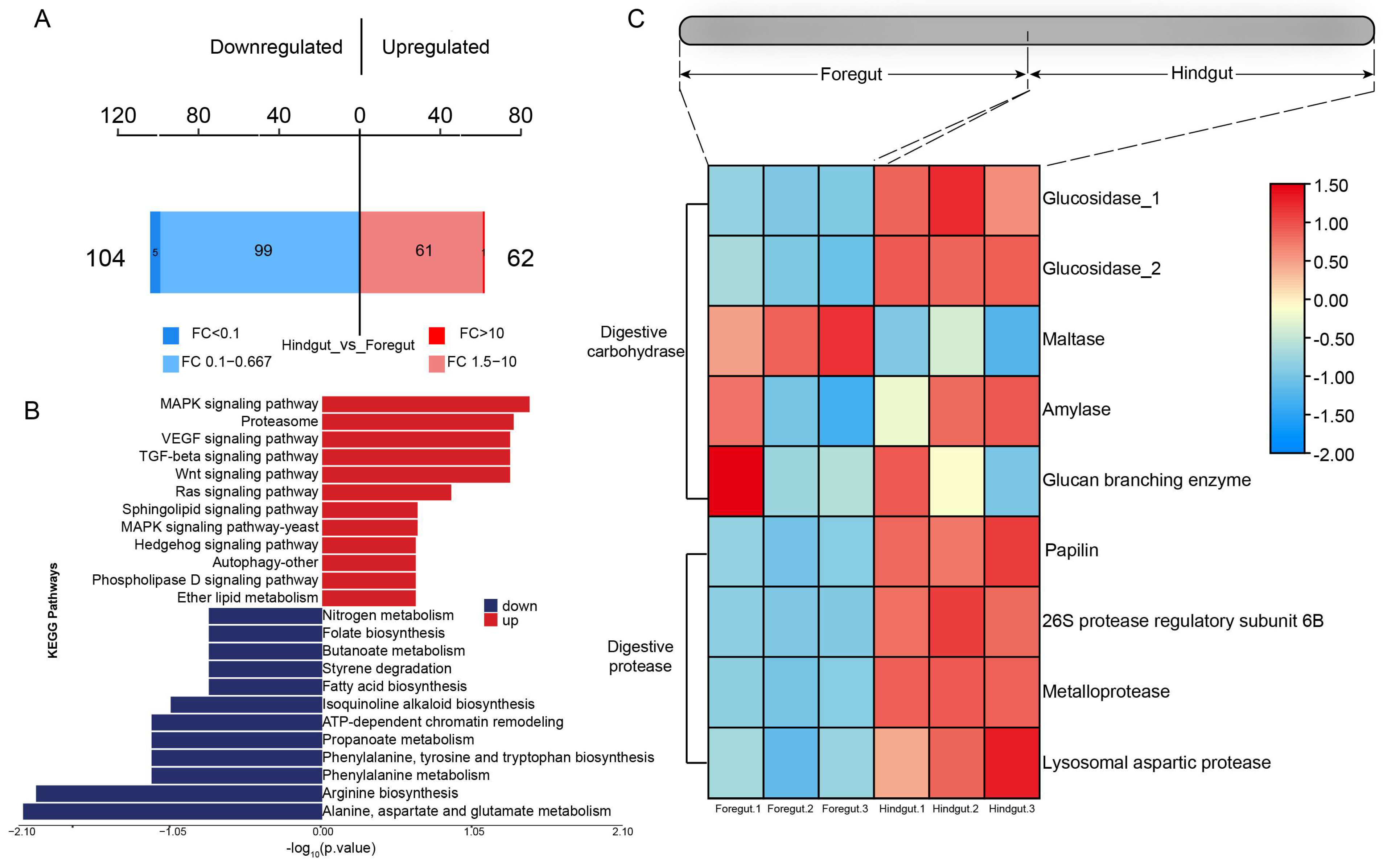 Microorganisms 13 00808 g006