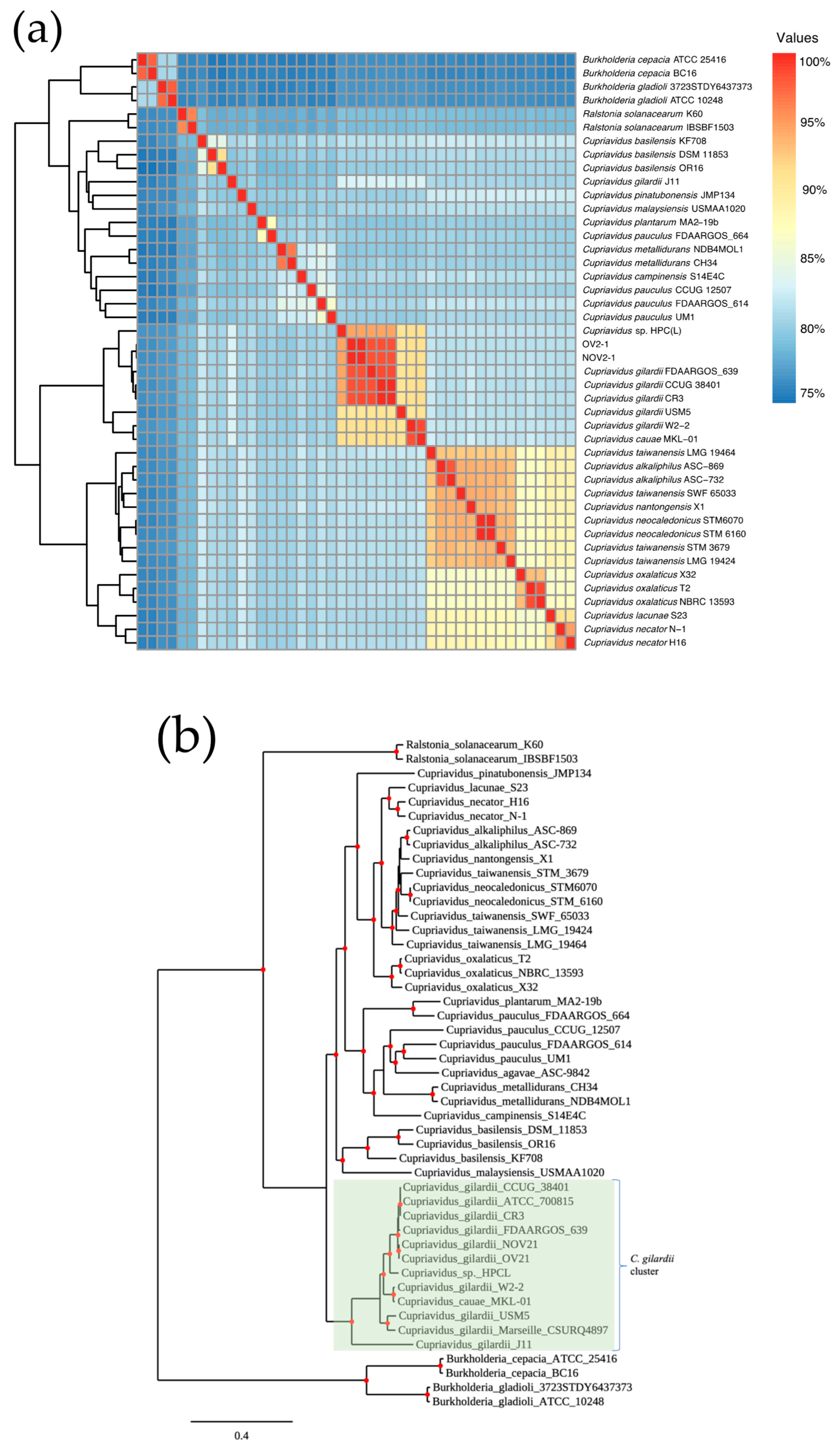 Microorganisms 13 00809 g001