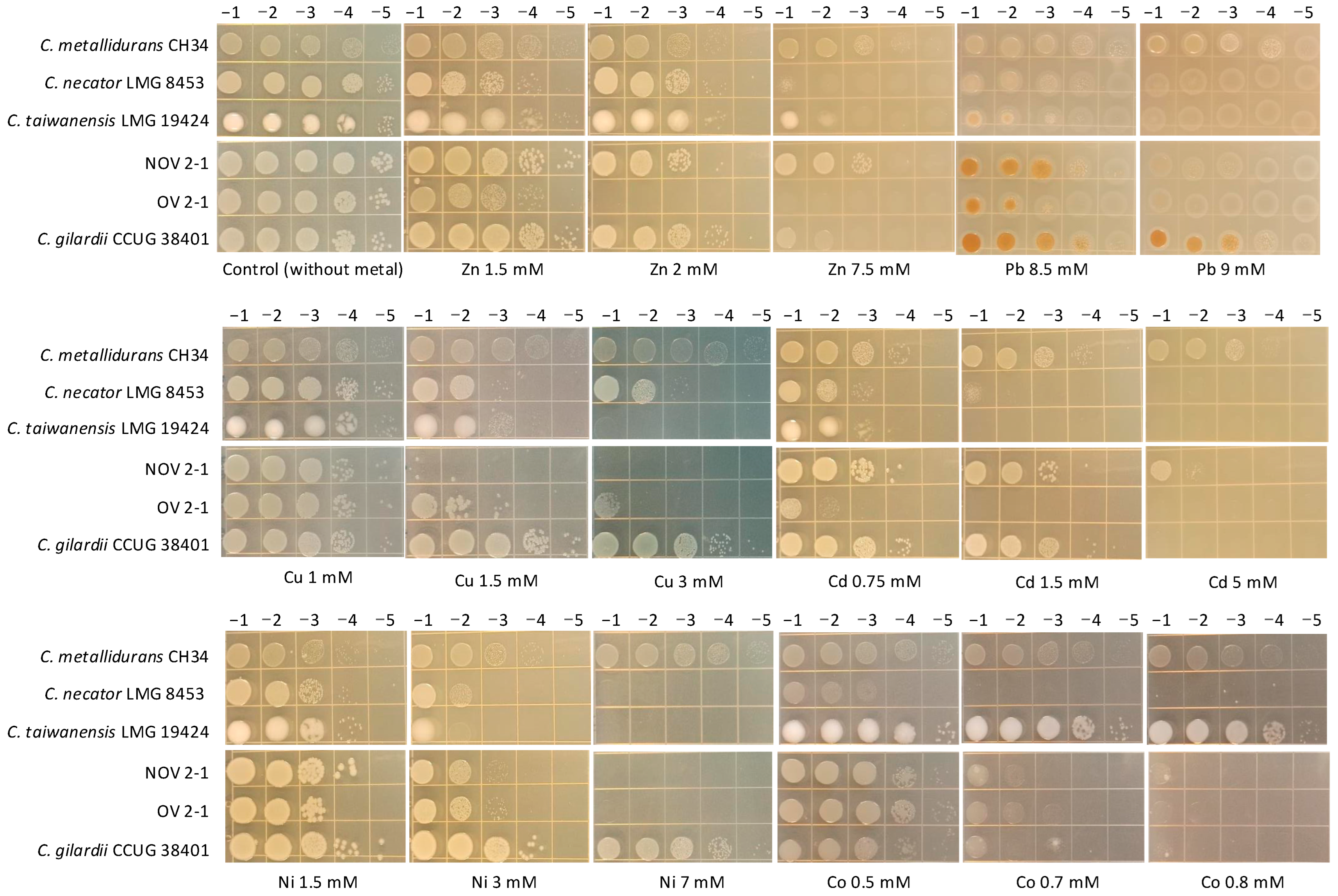 Microorganisms 13 00809 g002