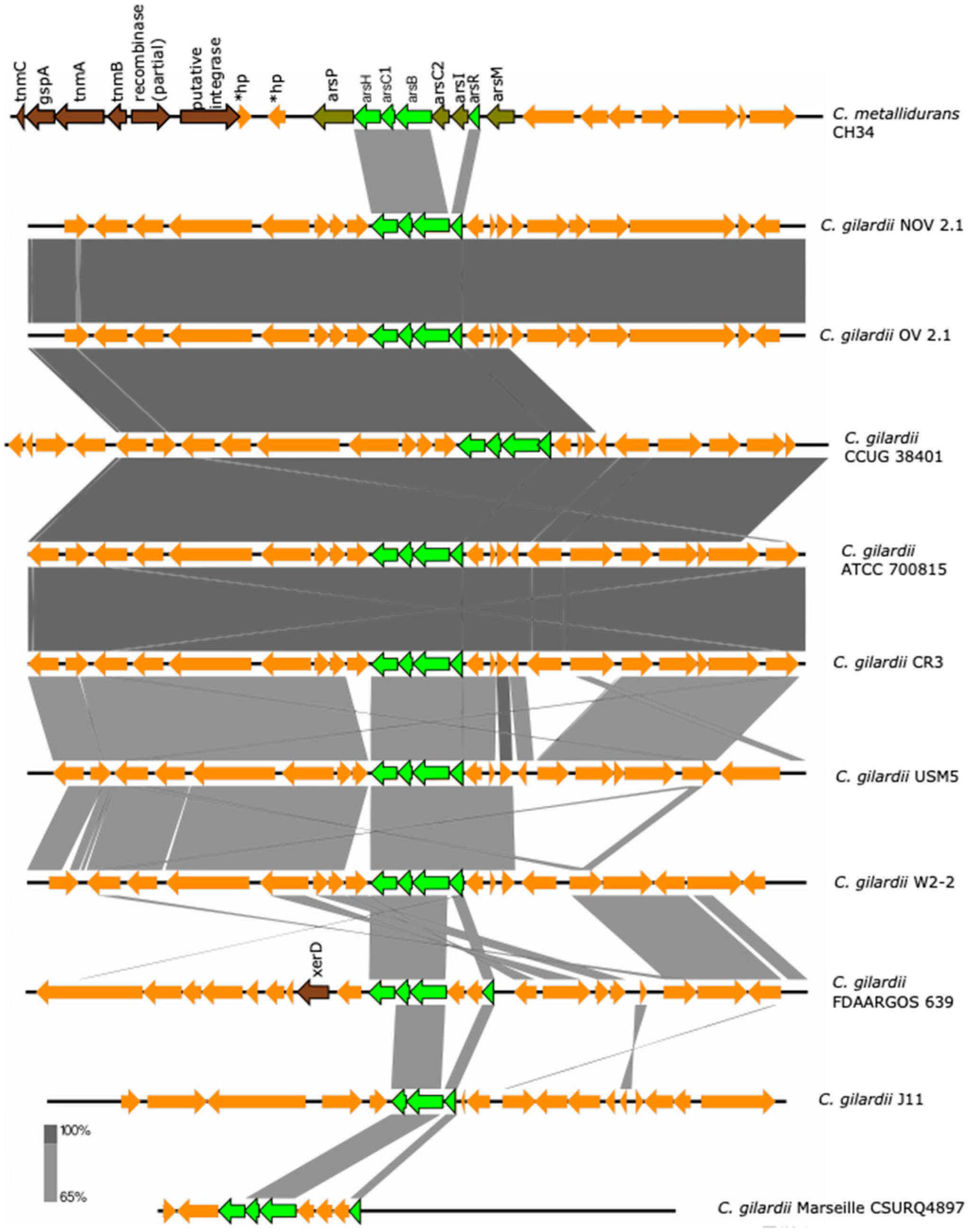 Microorganisms 13 00809 g003