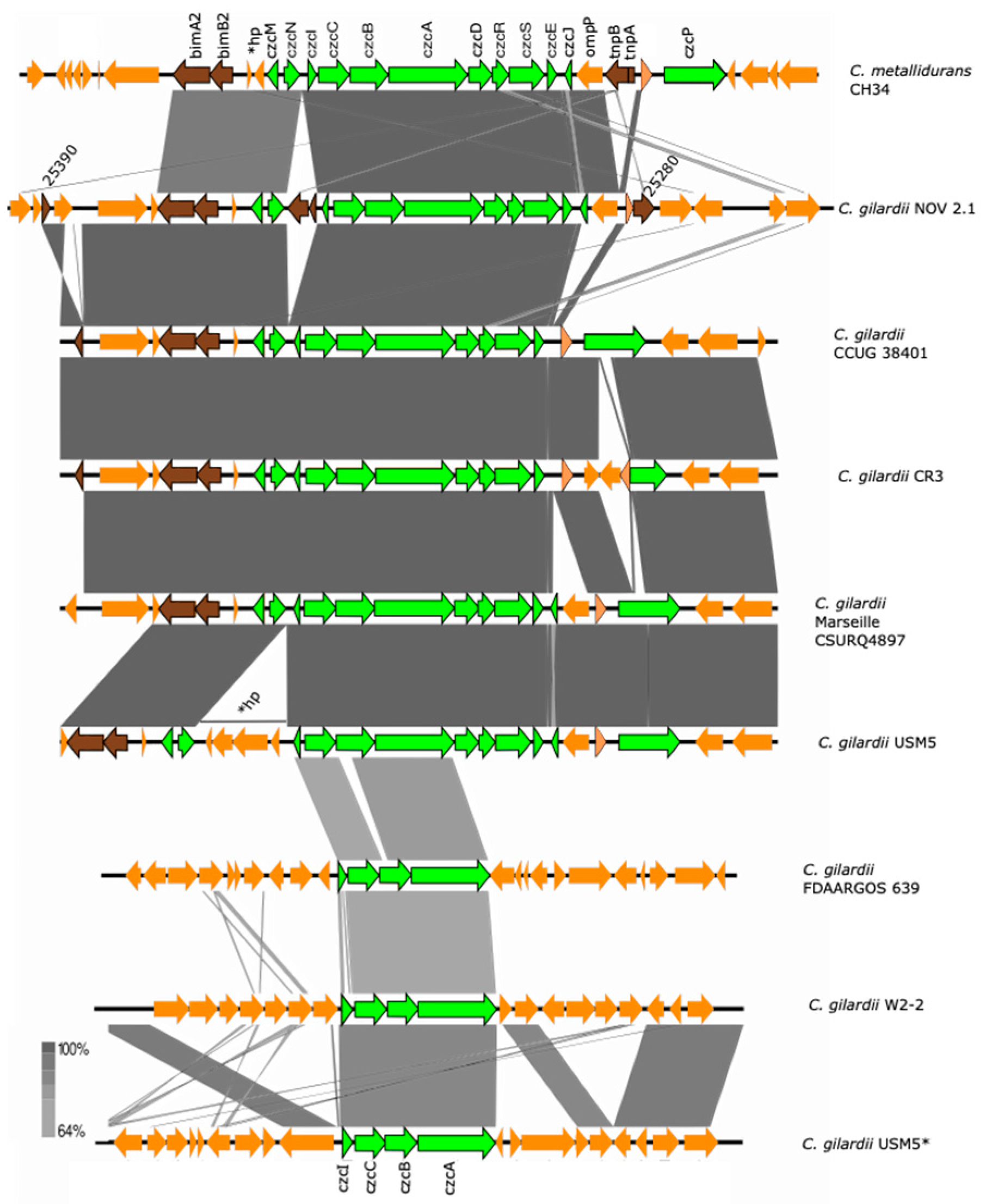 Microorganisms 13 00809 g004