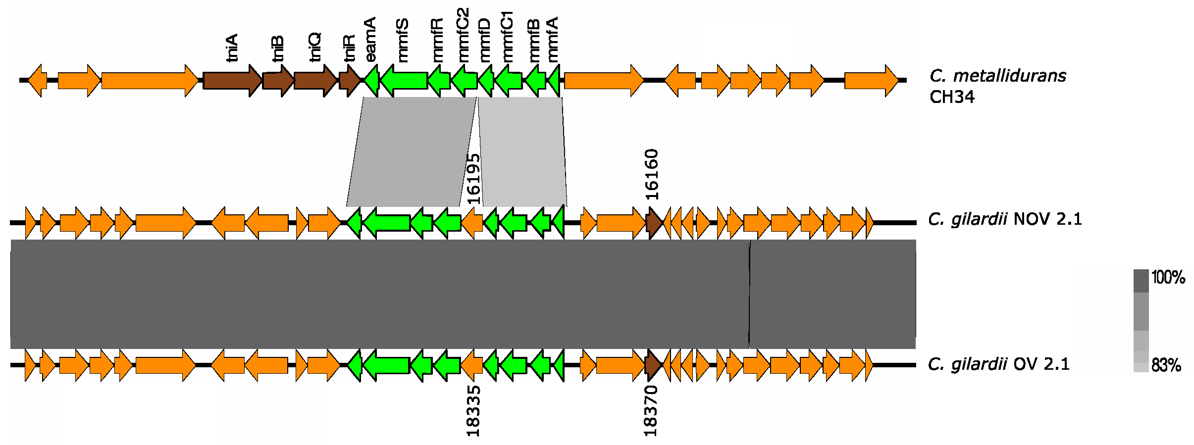 Microorganisms 13 00809 g007