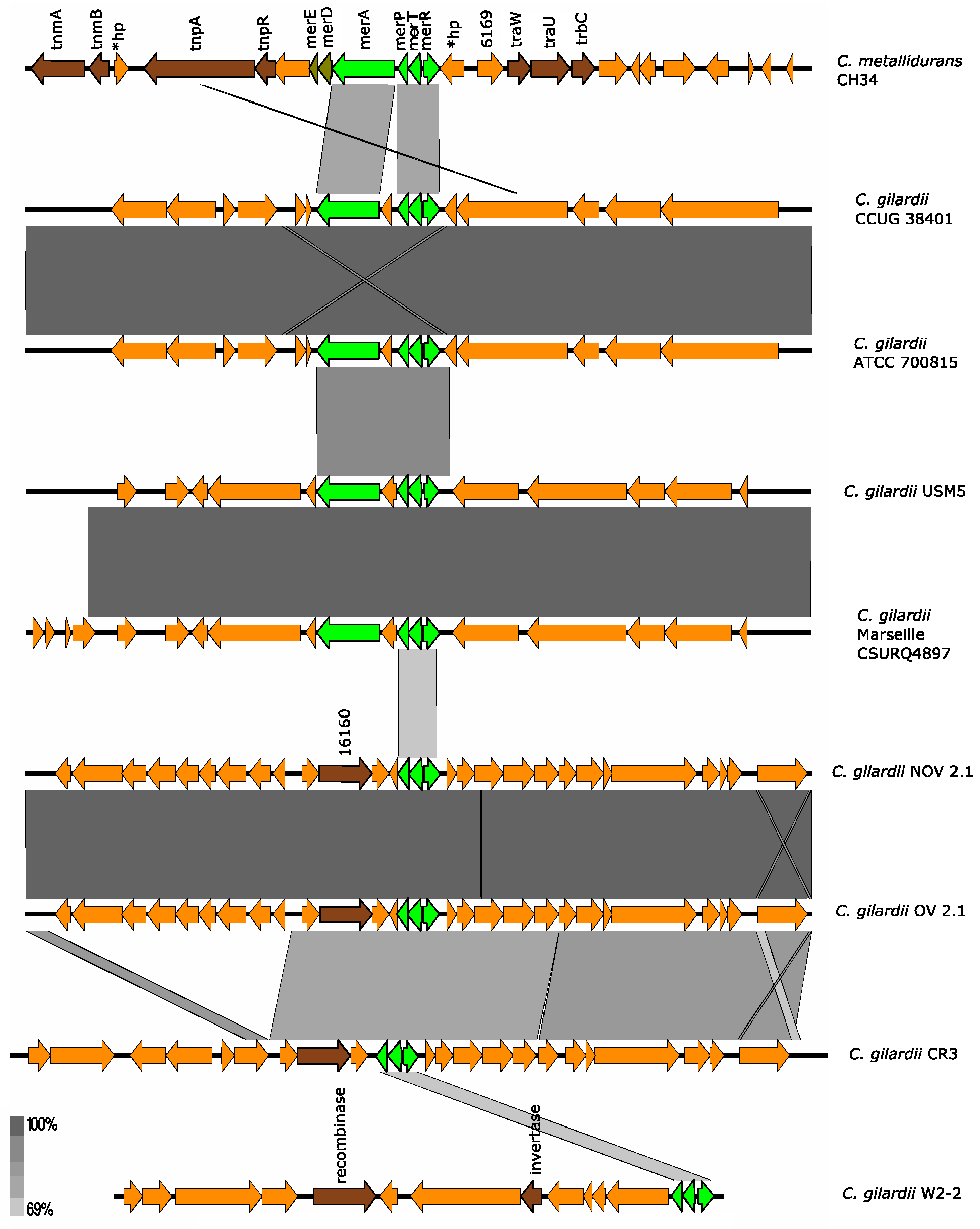 Microorganisms 13 00809 g008