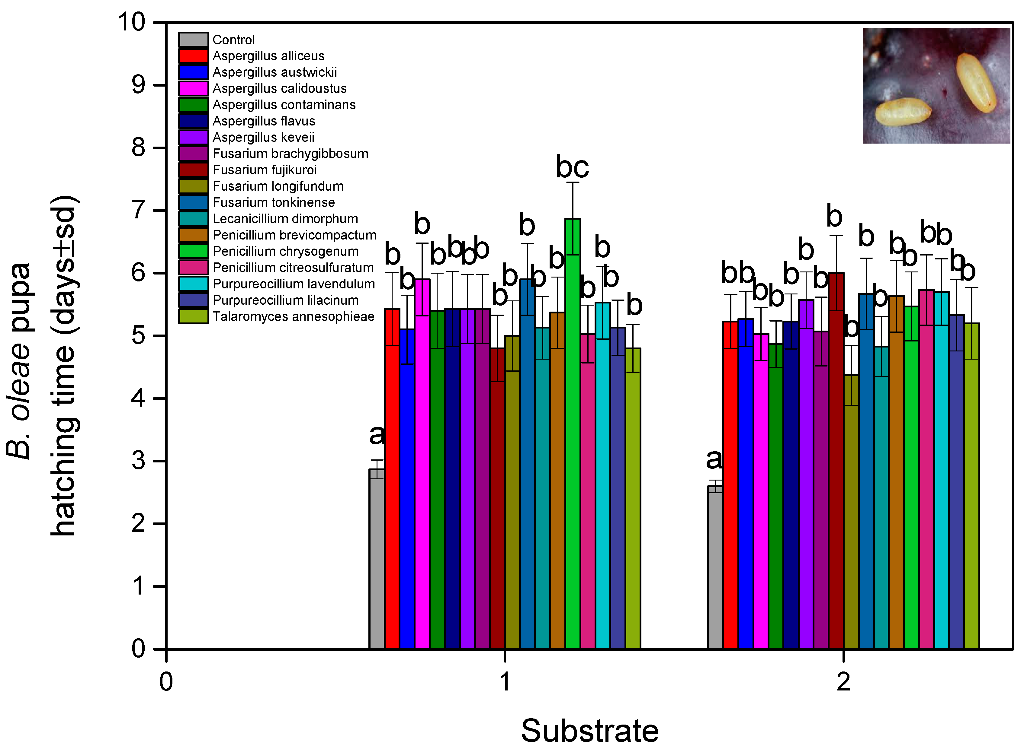Microorganisms 13 00811 g002 Microorganisms 13 00811 g002