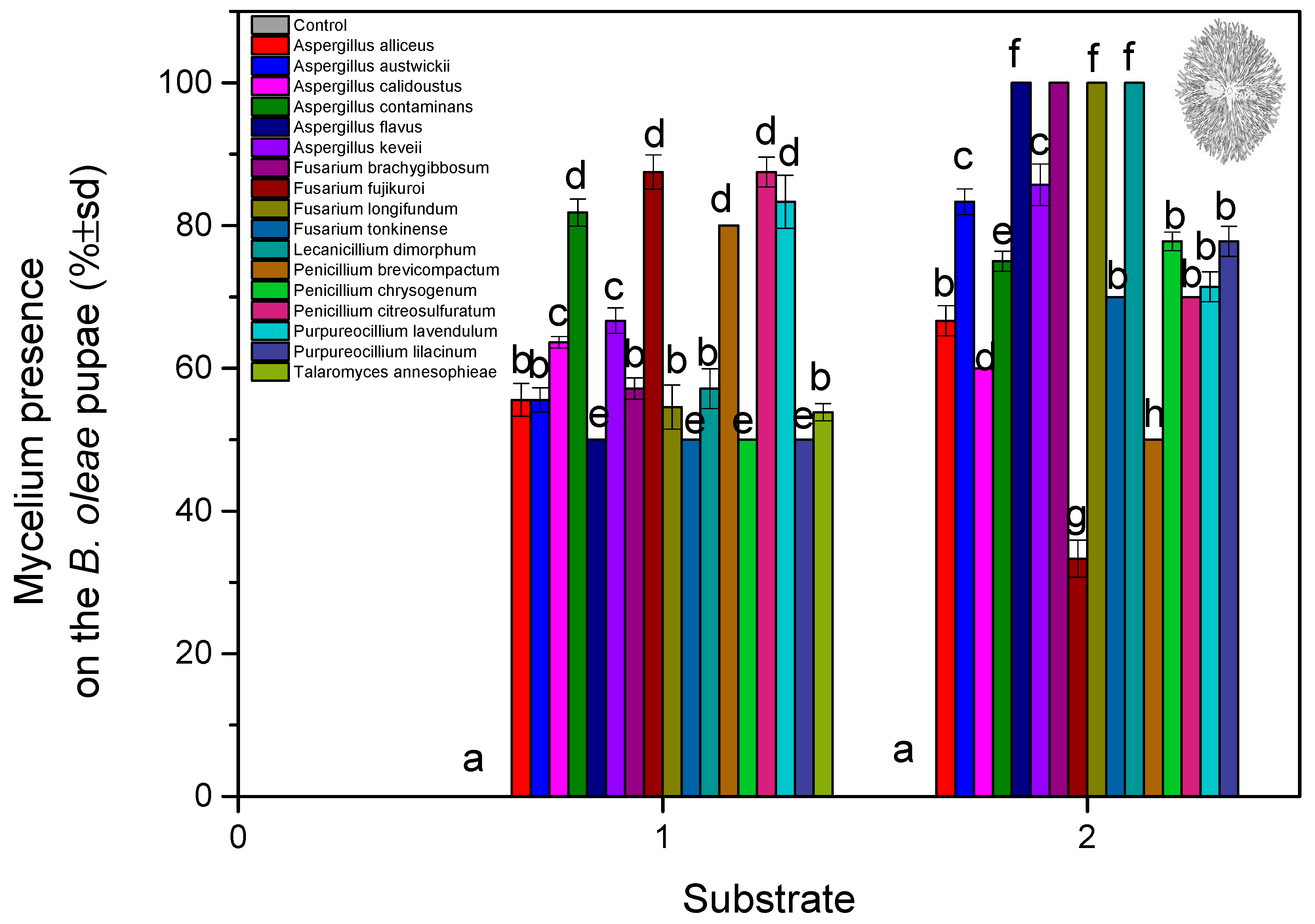 Microorganisms 13 00811 g003 Microorganisms 13 00811 g003