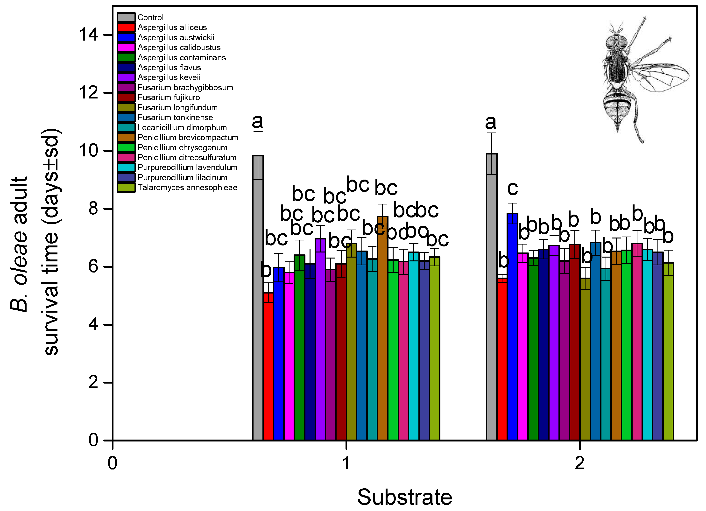 Microorganisms 13 00811 g005 Microorganisms 13 00811 g005