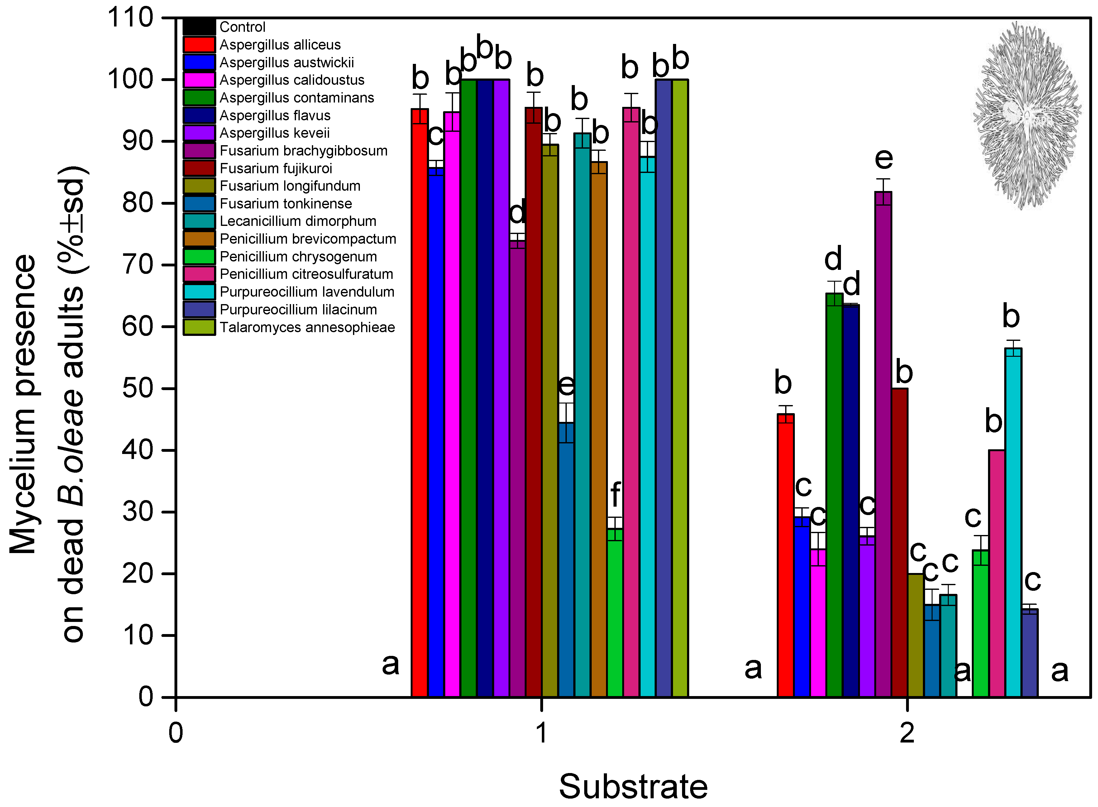 Microorganisms 13 00811 g006 Microorganisms 13 00811 g006