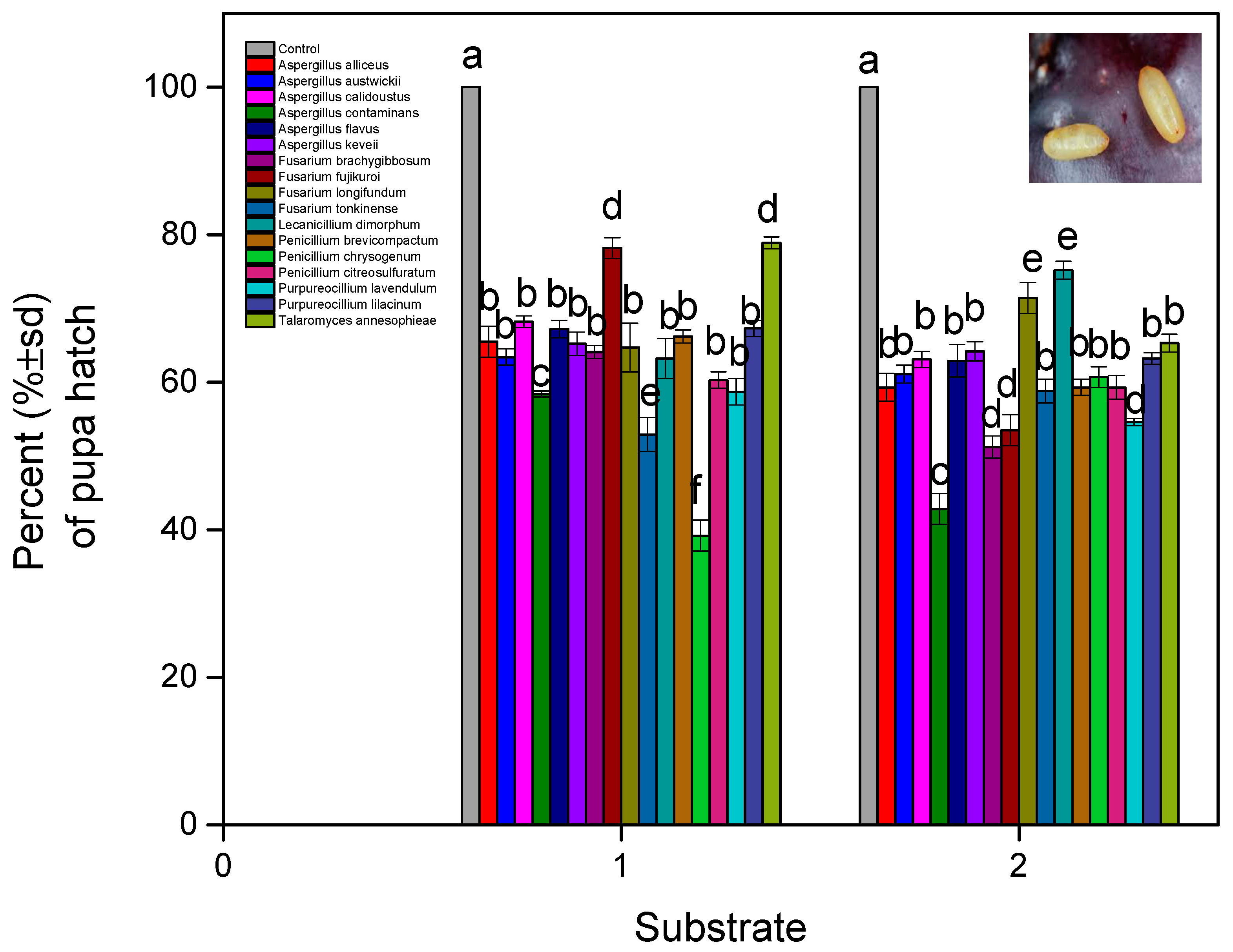 Microorganisms 13 00811 g008 Microorganisms 13 00811 g008