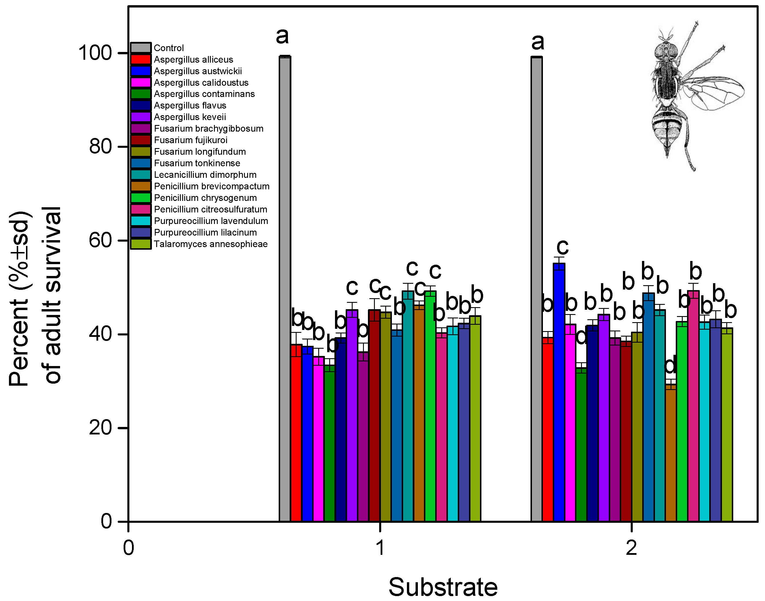 Microorganisms 13 00811 g009 Microorganisms 13 00811 g009