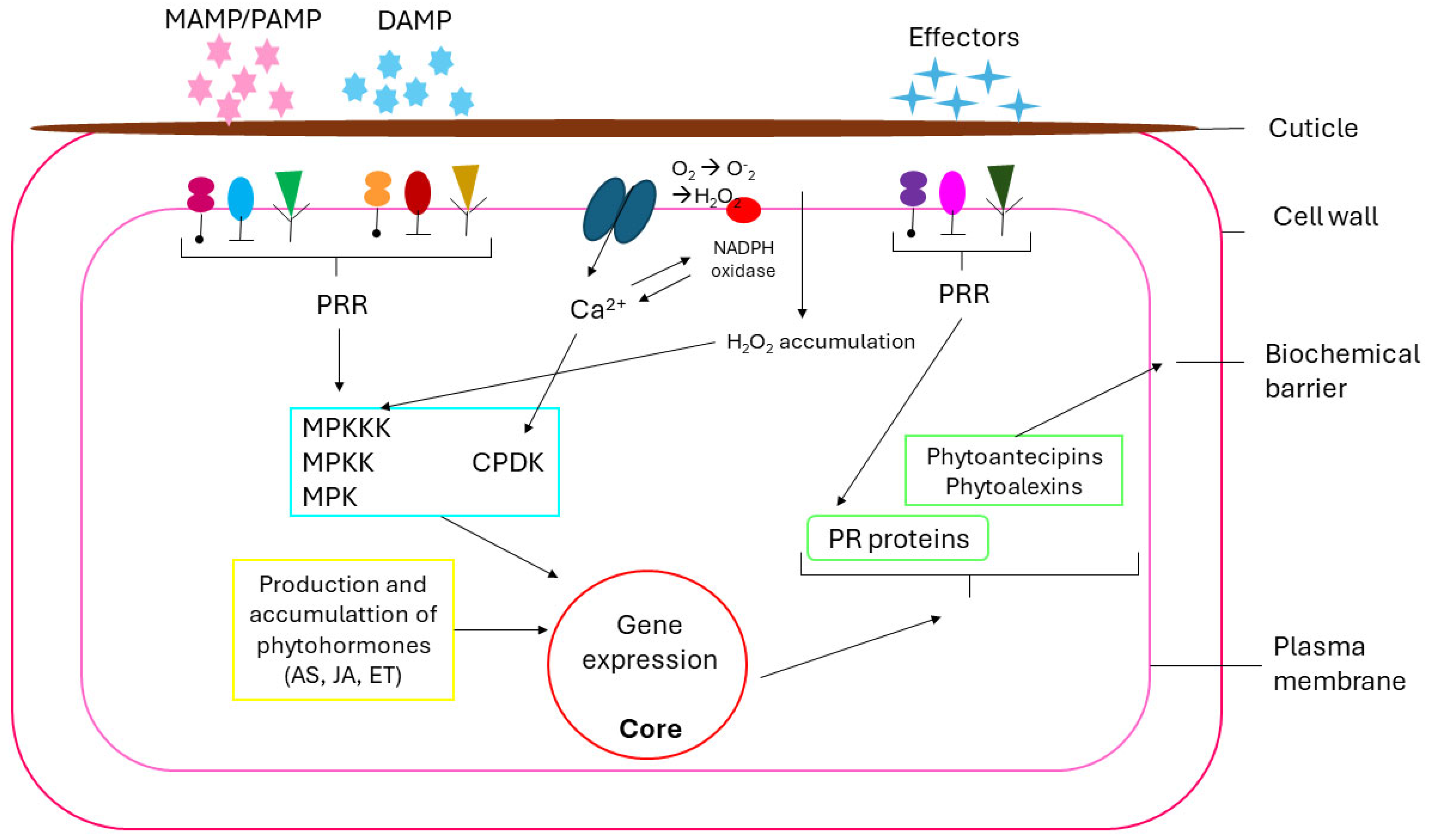 Microorganisms 13 00813 g002