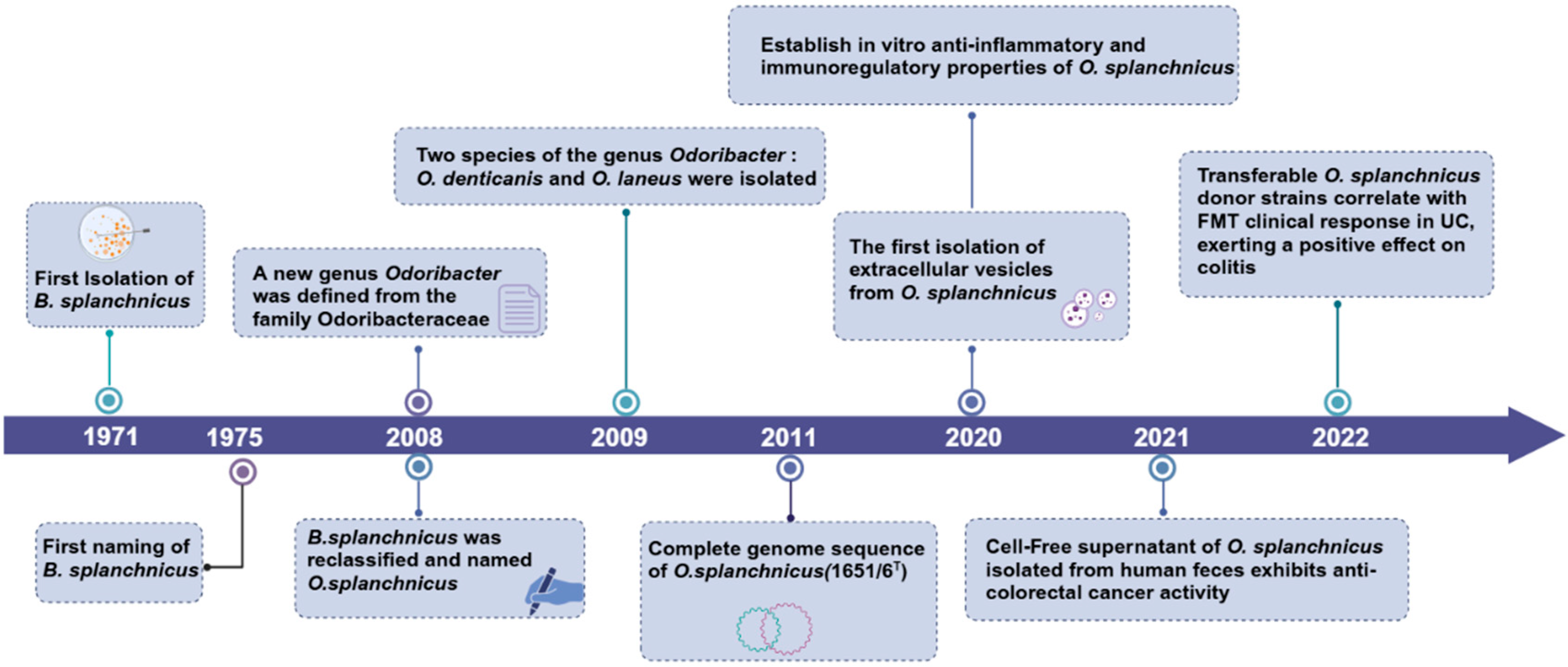 Microorganisms 13 00815 g001
