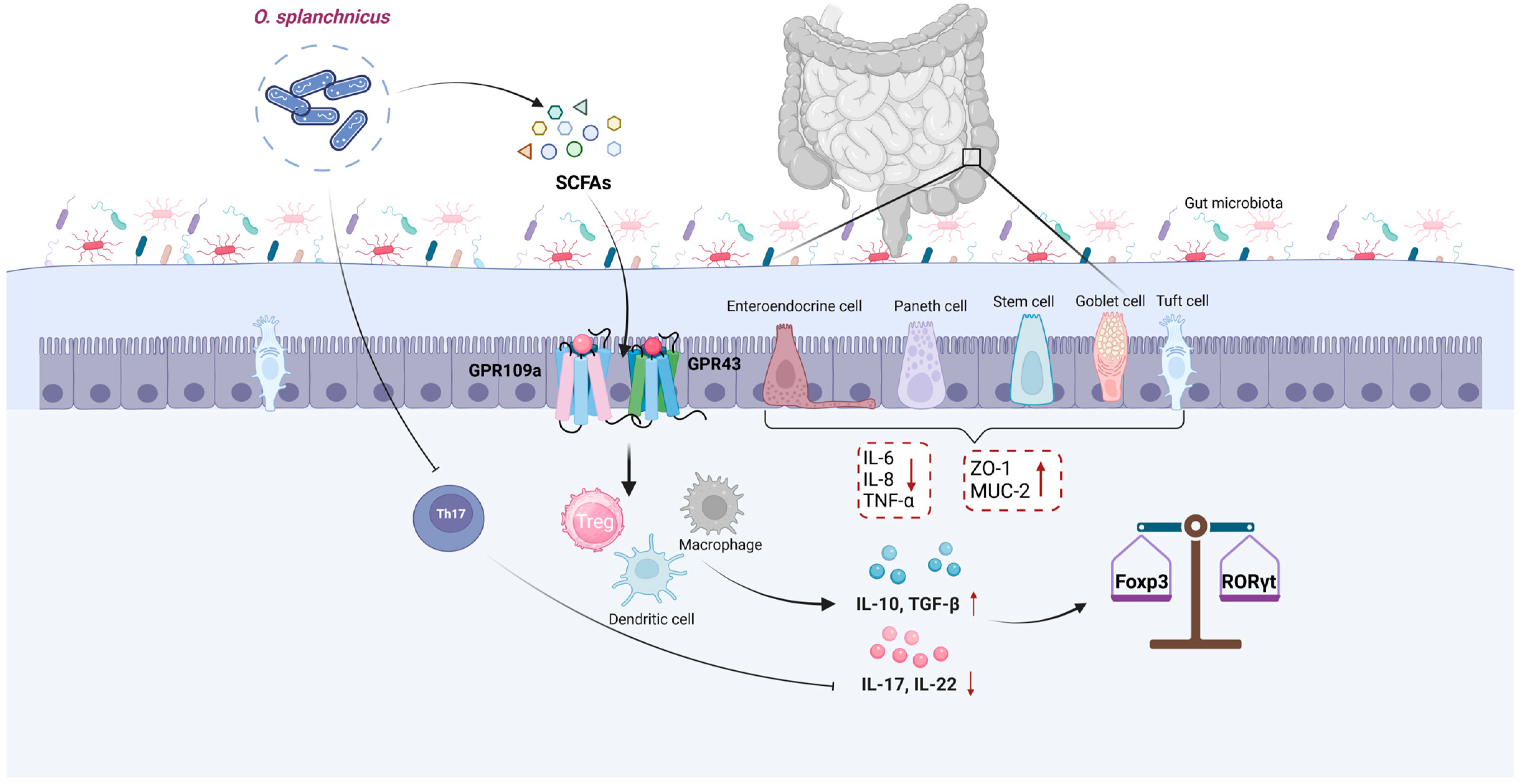 Microorganisms 13 00815 g002