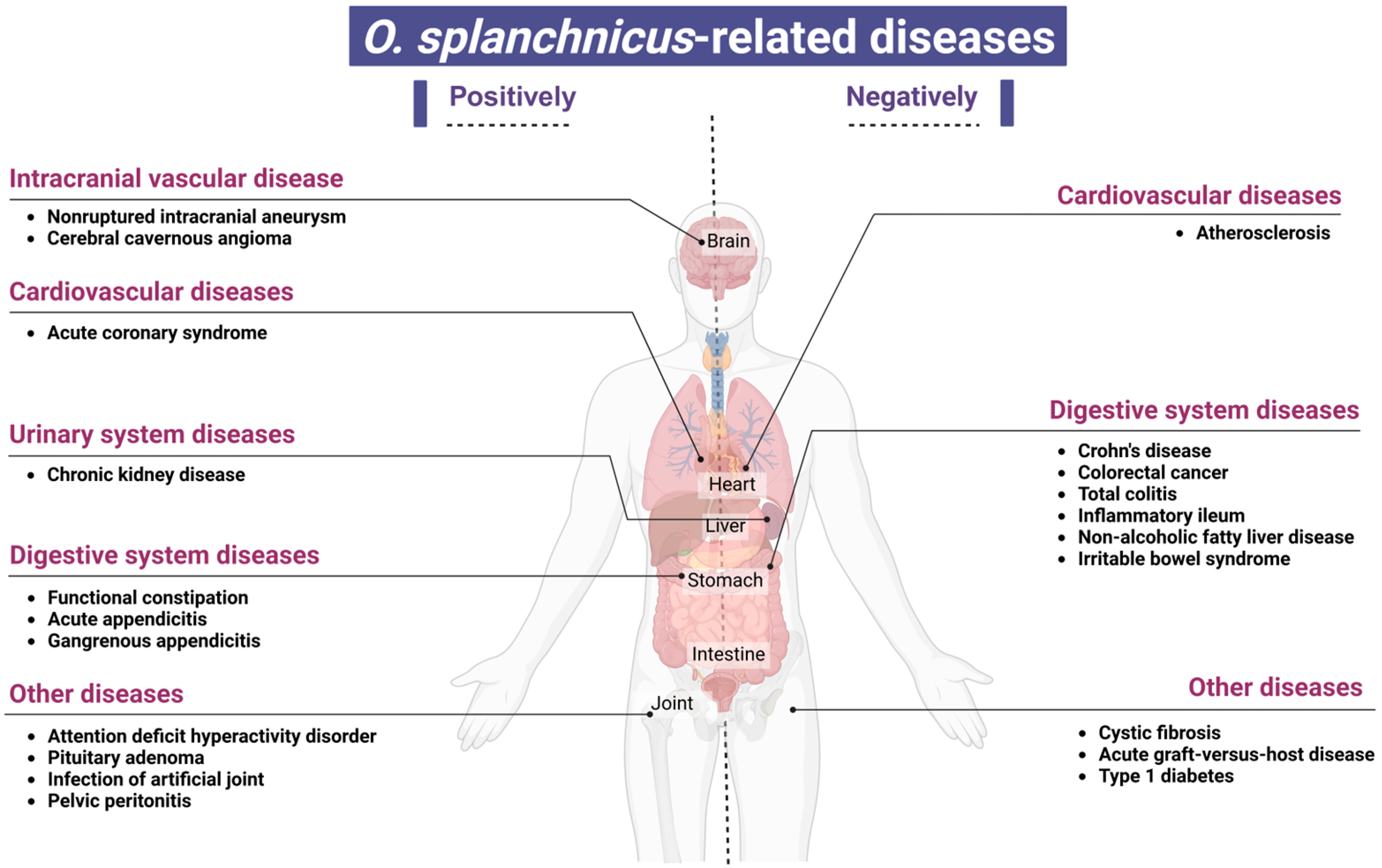 Microorganisms 13 00815 g003