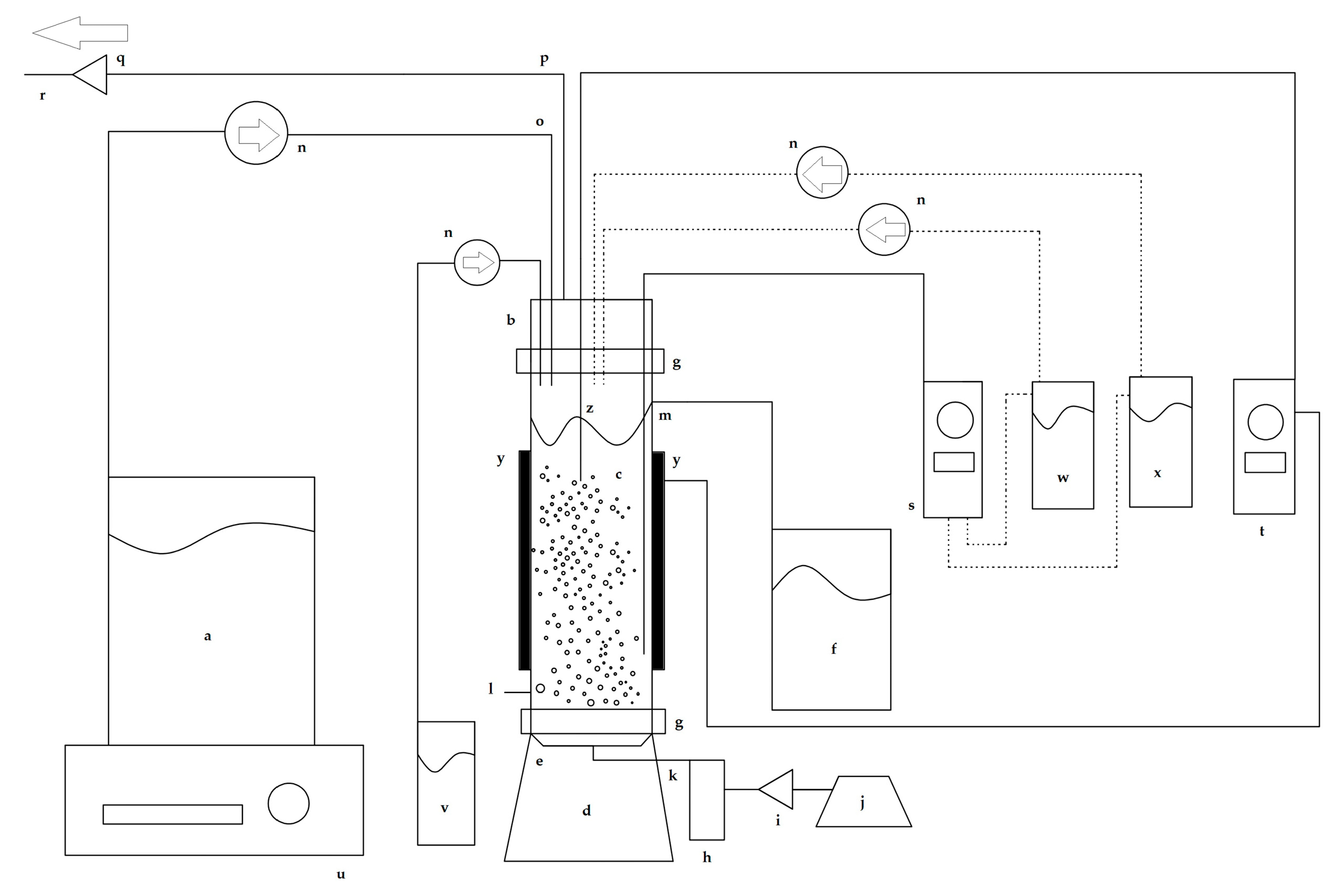 Microorganisms 13 00817 g001