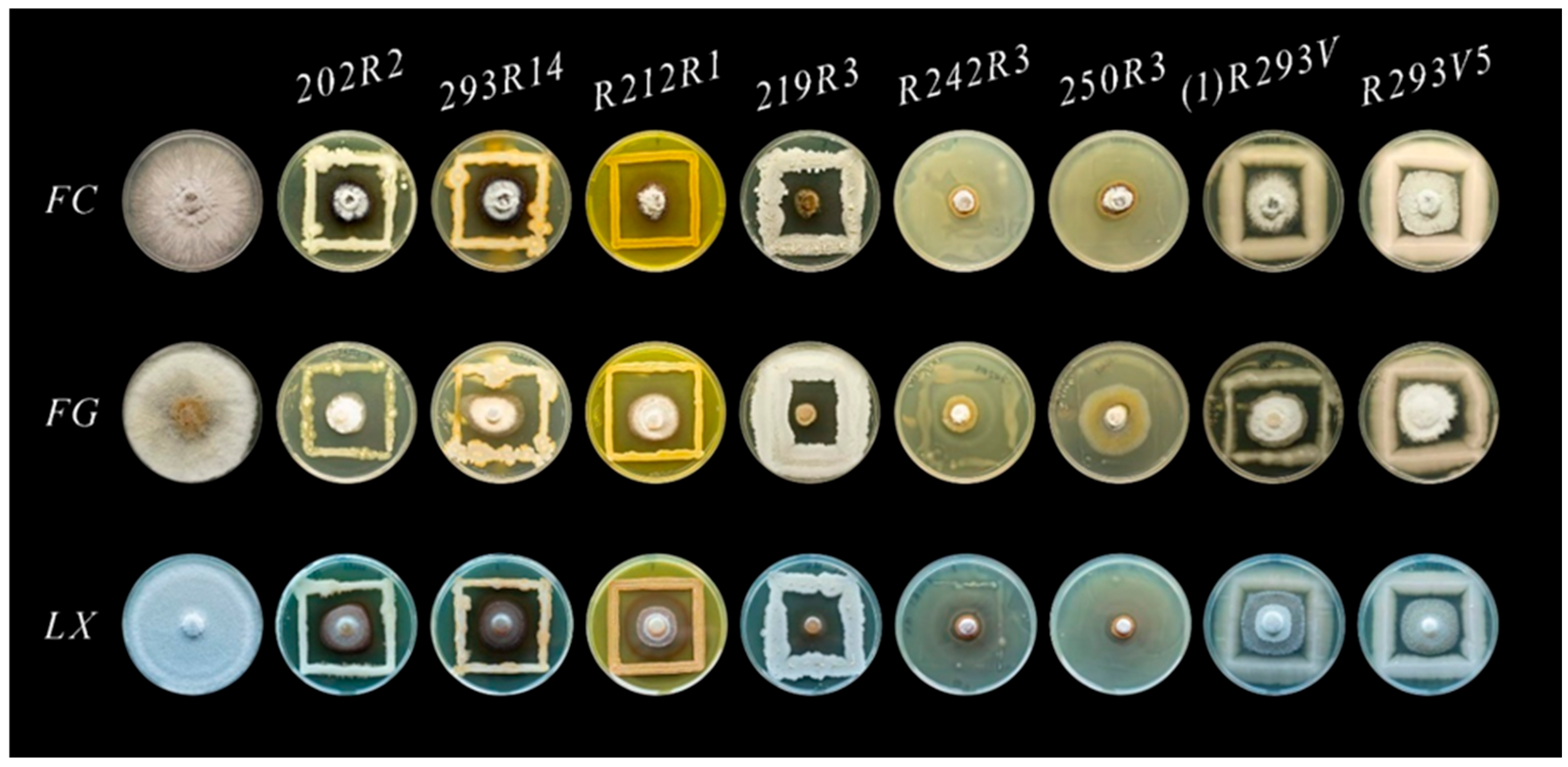 Microorganisms 13 00818 g001 Microorganisms 13 00818 g001