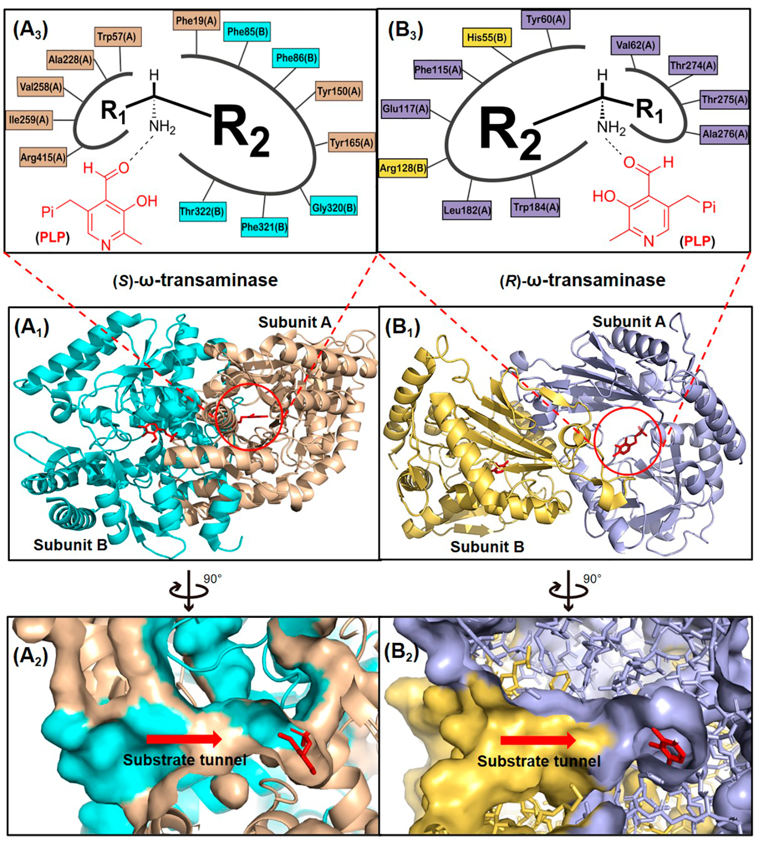 Microorganisms 13 00820 g002
