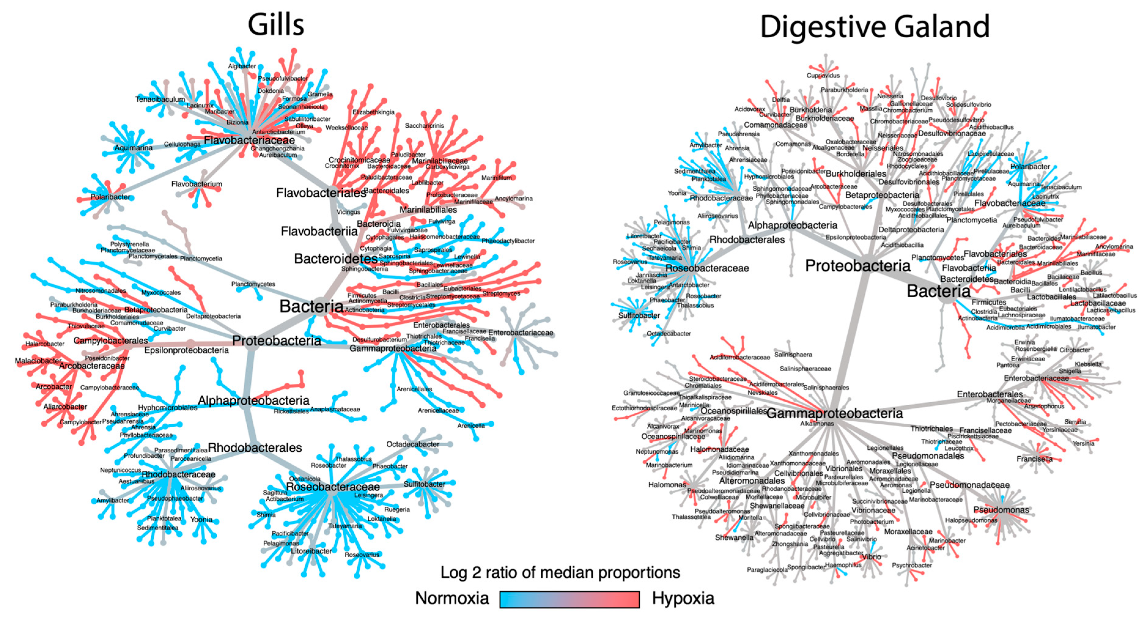 Microorganisms 13 00825 g002